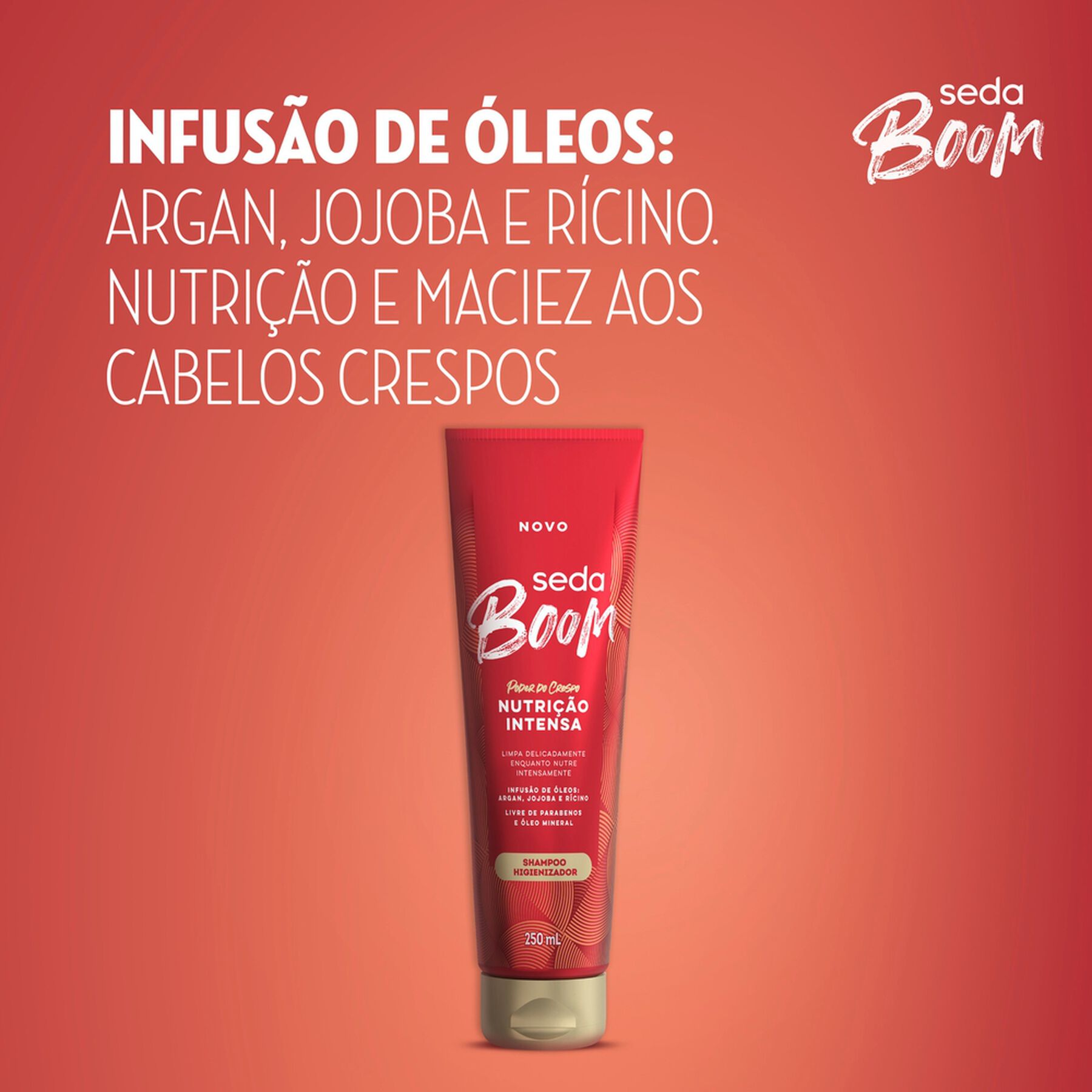Shampoo Higienizador Nutrição Intensa Seda Boom Bisnaga 250ml