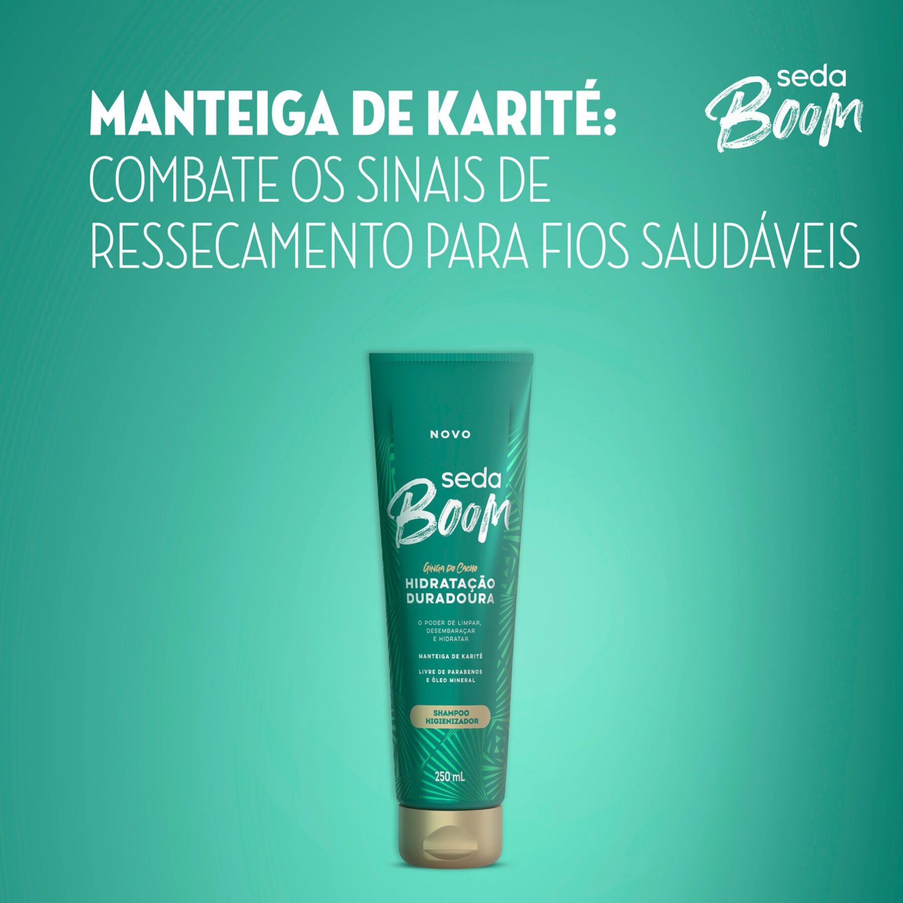 Shampoo Seda Boom Hidratação Duradoura 250ml