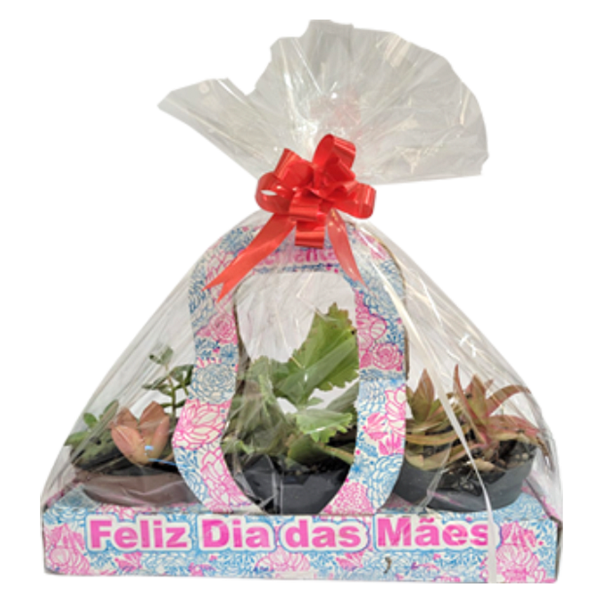 Kit Suculenta Decorado Pote 11 - Sortido