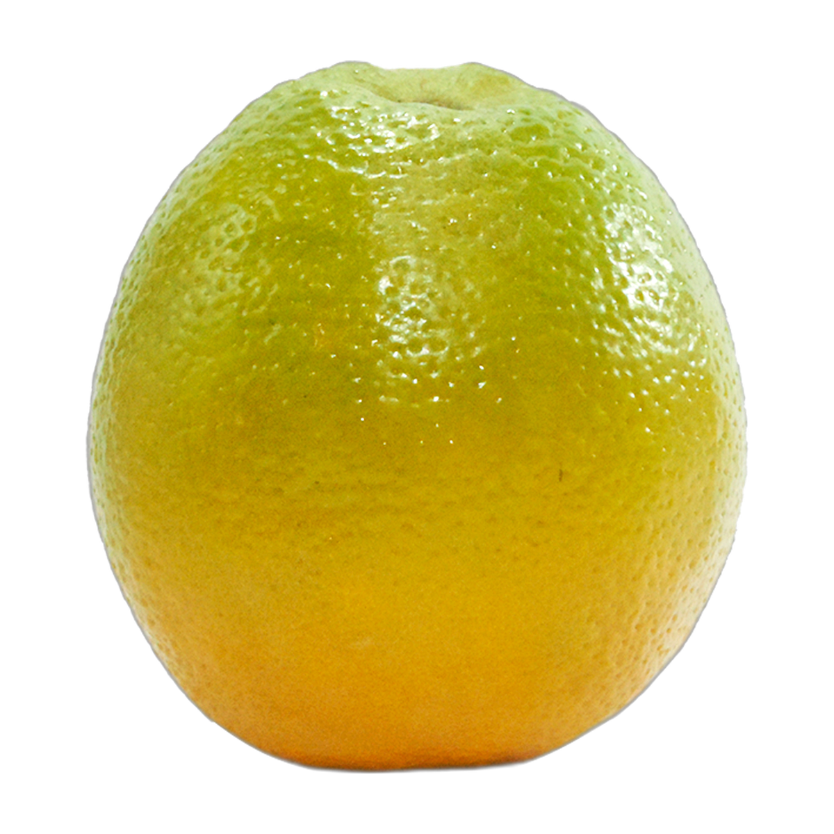 Laranja Pera - 1 unidade aprox. 220g