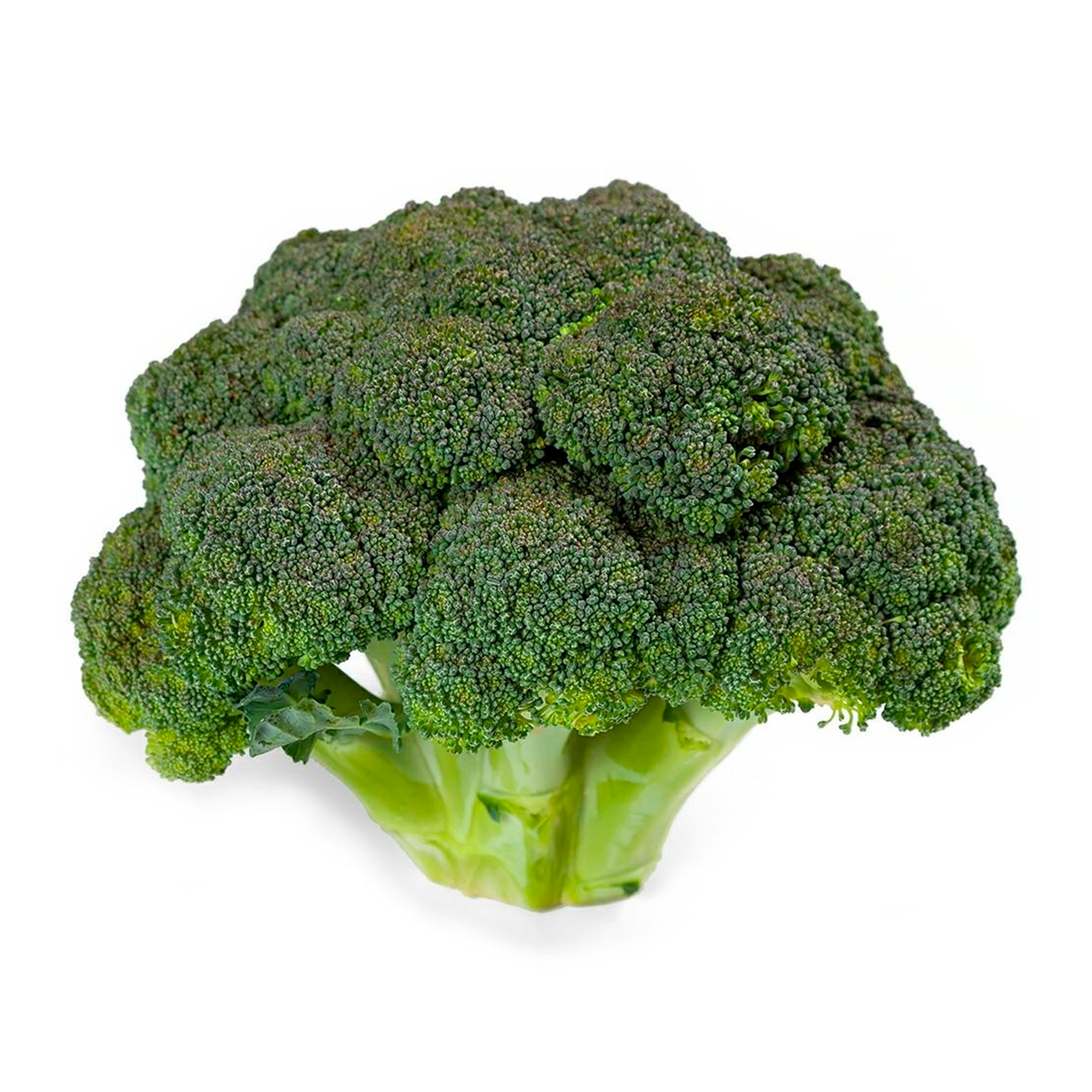 Brócolis Ninja Folhas da Terra 300g