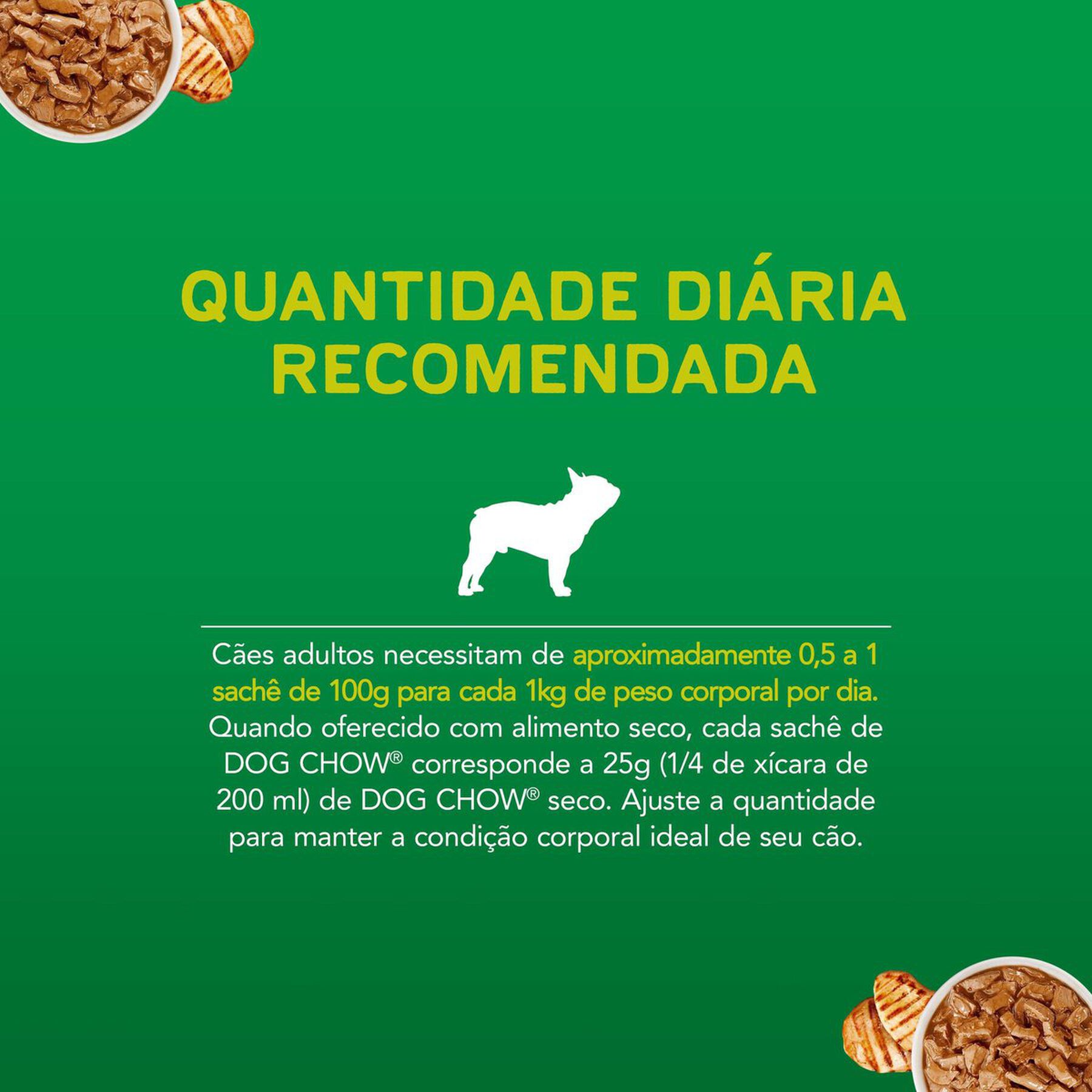 Ração Úmida Cães Minis e Pequenos Frango Dog Chow Sanchê 100g