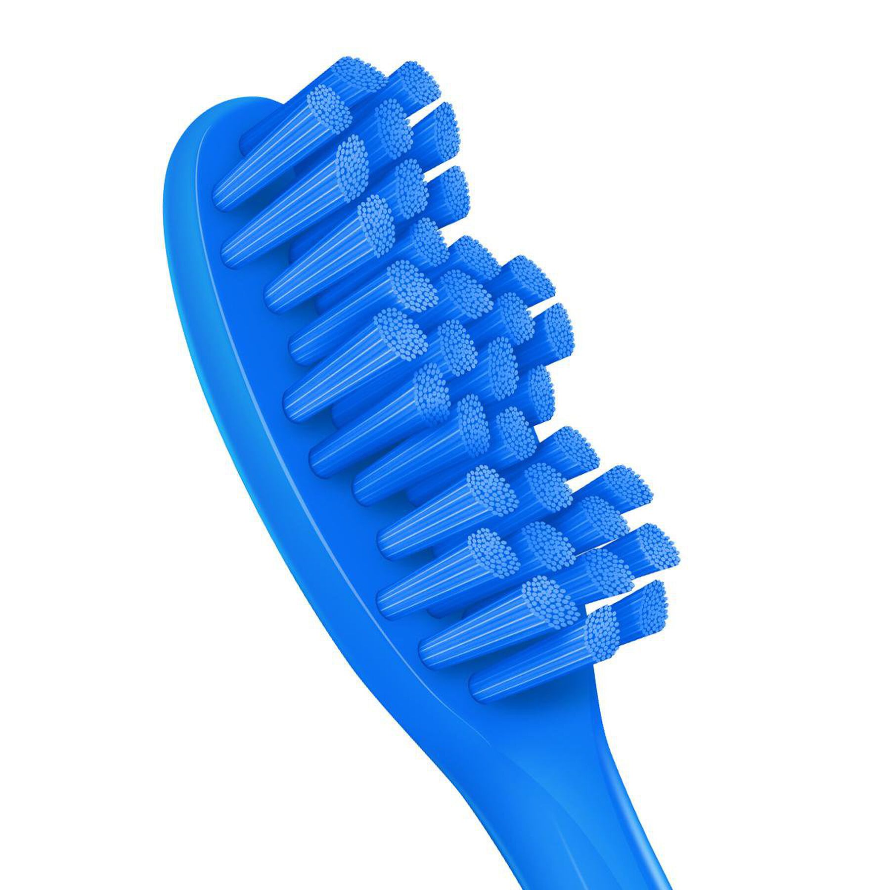Escova Dental M&eacute;dia Limpeza Efetiva Colors Colgate C/05 Unidades&nbsp;