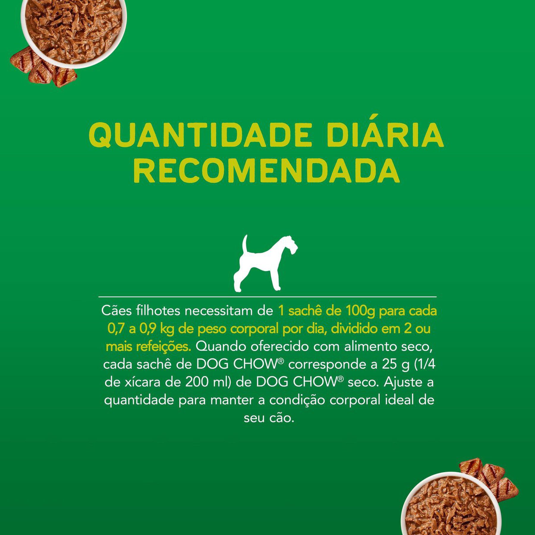Ração Úmida Cães Filhotes Carne Dog Chow Sachê 100g
