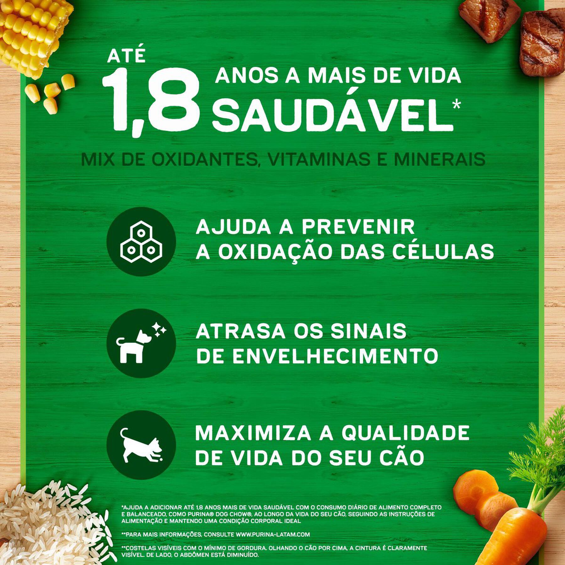 Alimento para Cães Adultos Raças Minis e Pequenas Carne, Frango e Arroz Purina Dog Chow Extra Life Pacote 10,1kg
