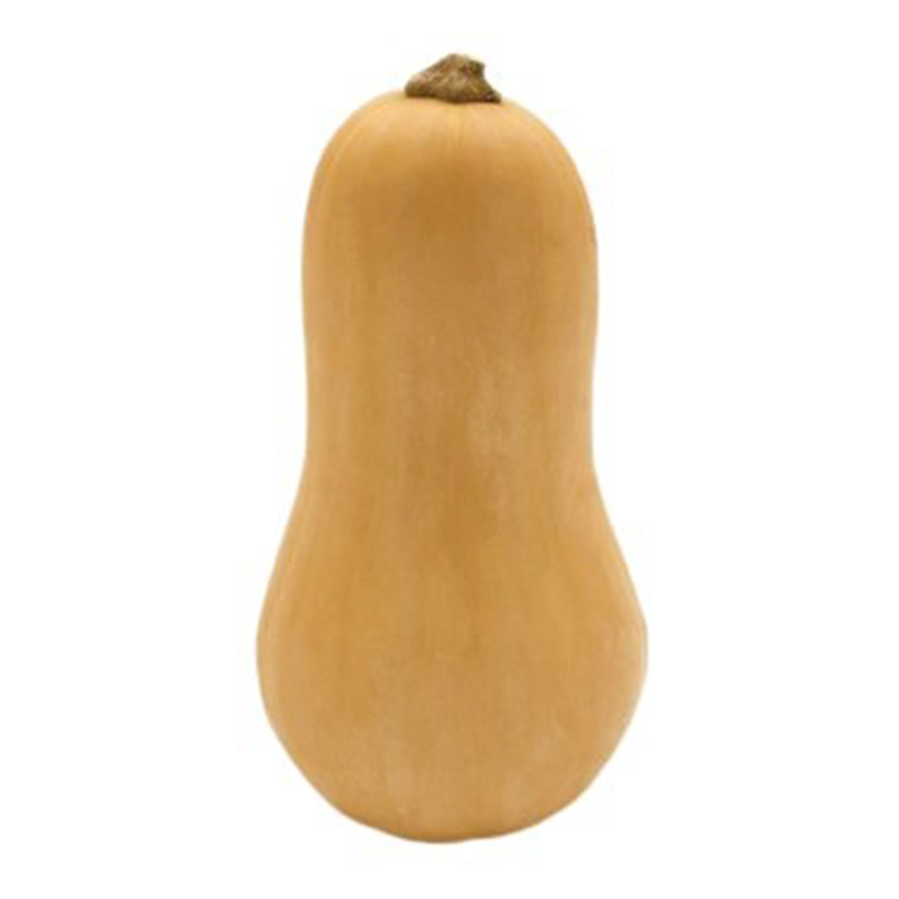 Ab&oacute;bora Bata - 1 Unidade aprox. 500g