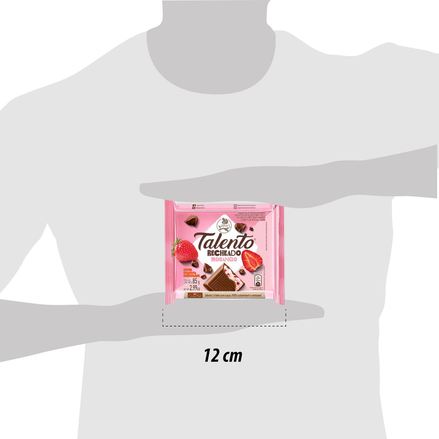 Chocolate ao Leite Recheio Morango Garoto Talento Pacote 85g