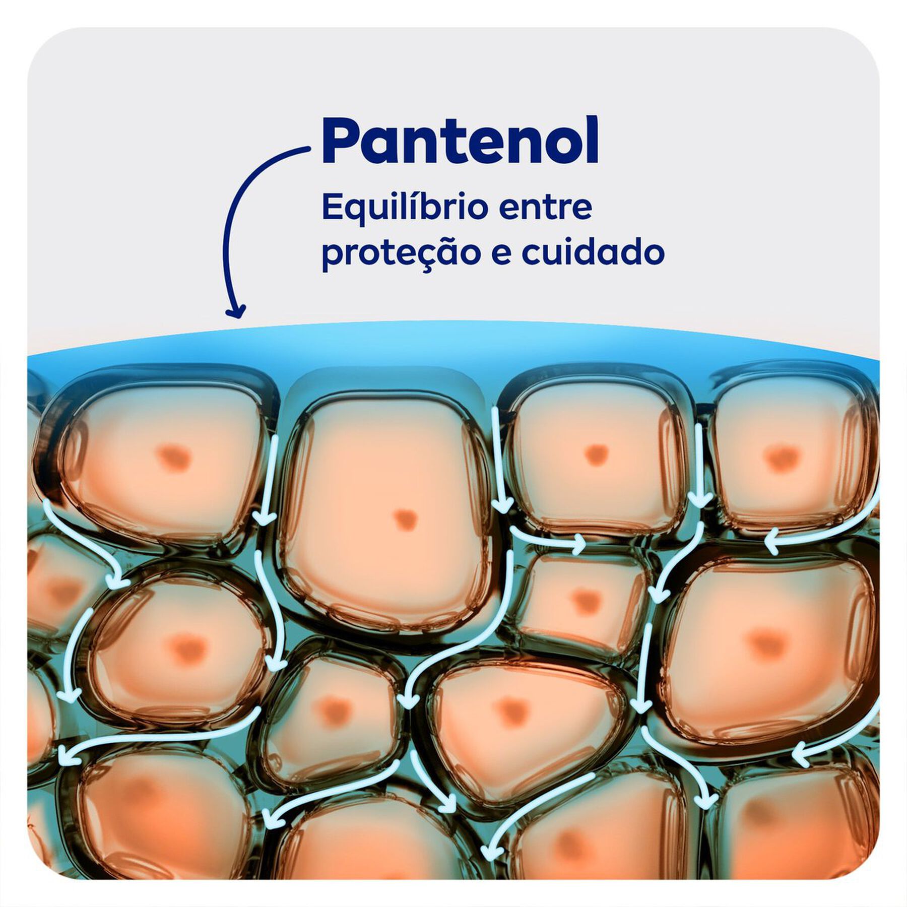 Desodorante Aerossol Protect e Care Nivea 200ml - Embalagem Econômica