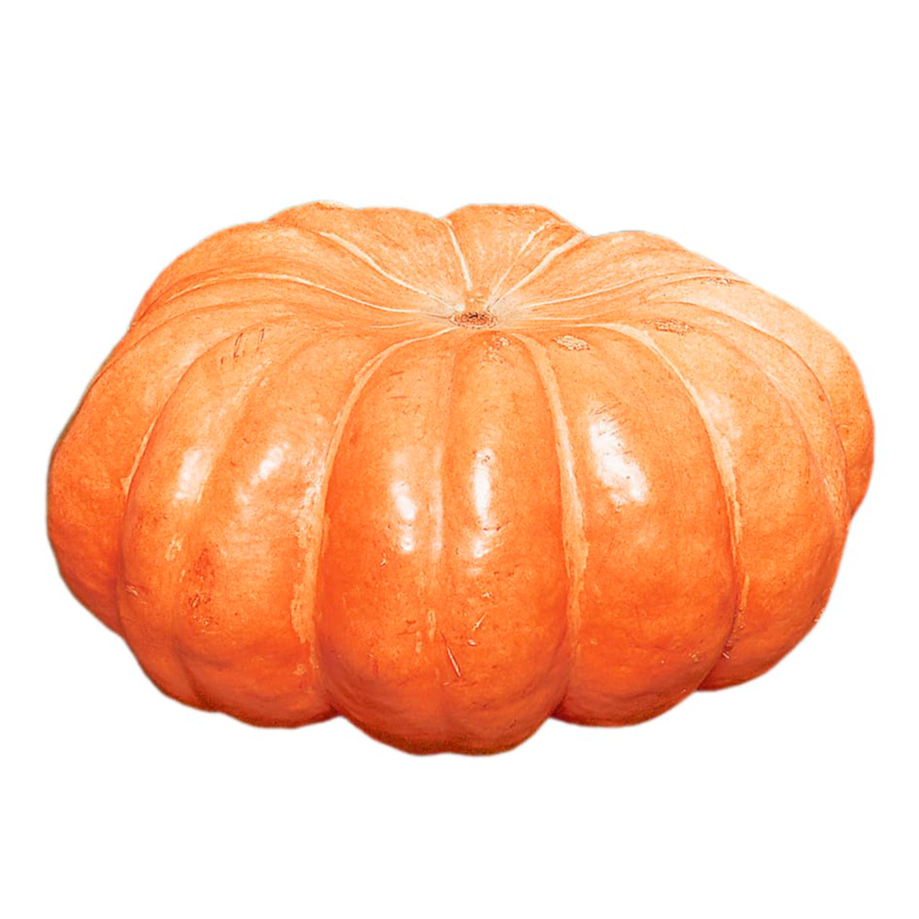 Moranga - 1 Unidade aprox. 2.500g