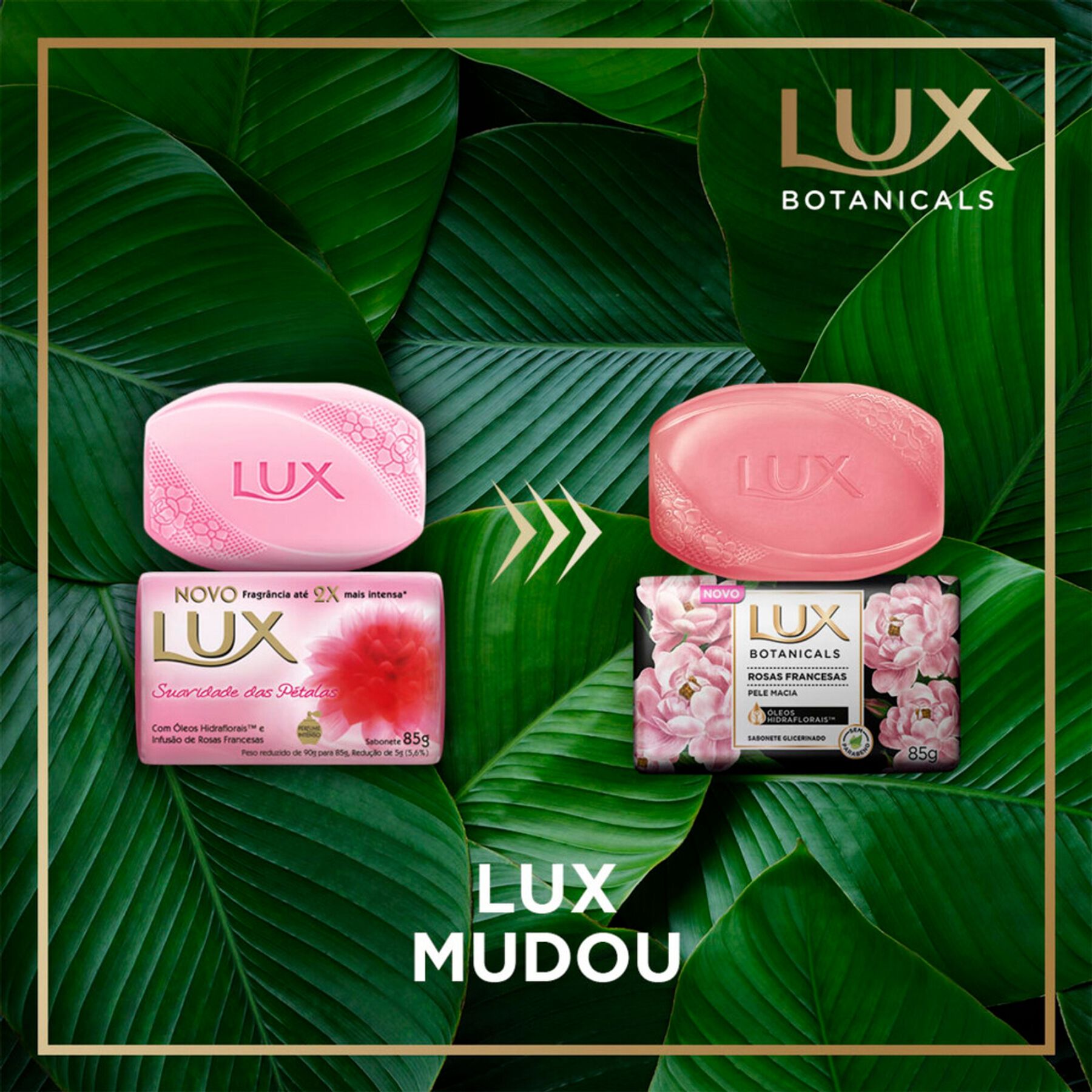 Sabonete em Barra Glicerinado Rosas Francesas Lux Botanicals Envoltório 85g