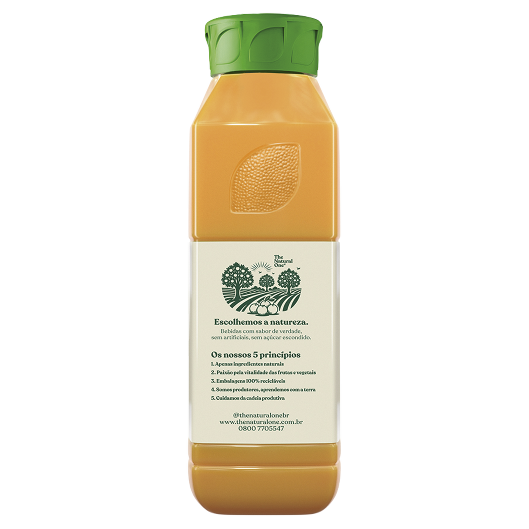 Suco Integral Laranja The Natural One Refrigerado Garrafa 900ml