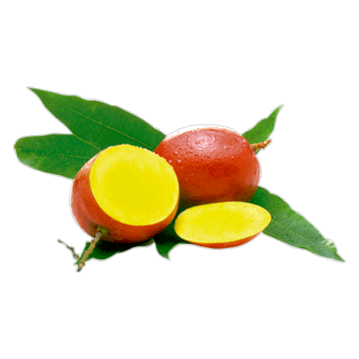 Manga Tommy Atkins - 1 unidade aprox. 423g