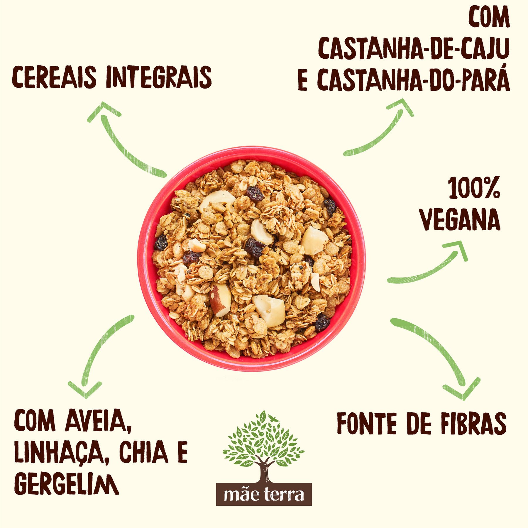 Granola Tradicional com Castanhas Brasileiras Mãe Terra Pacote 250g