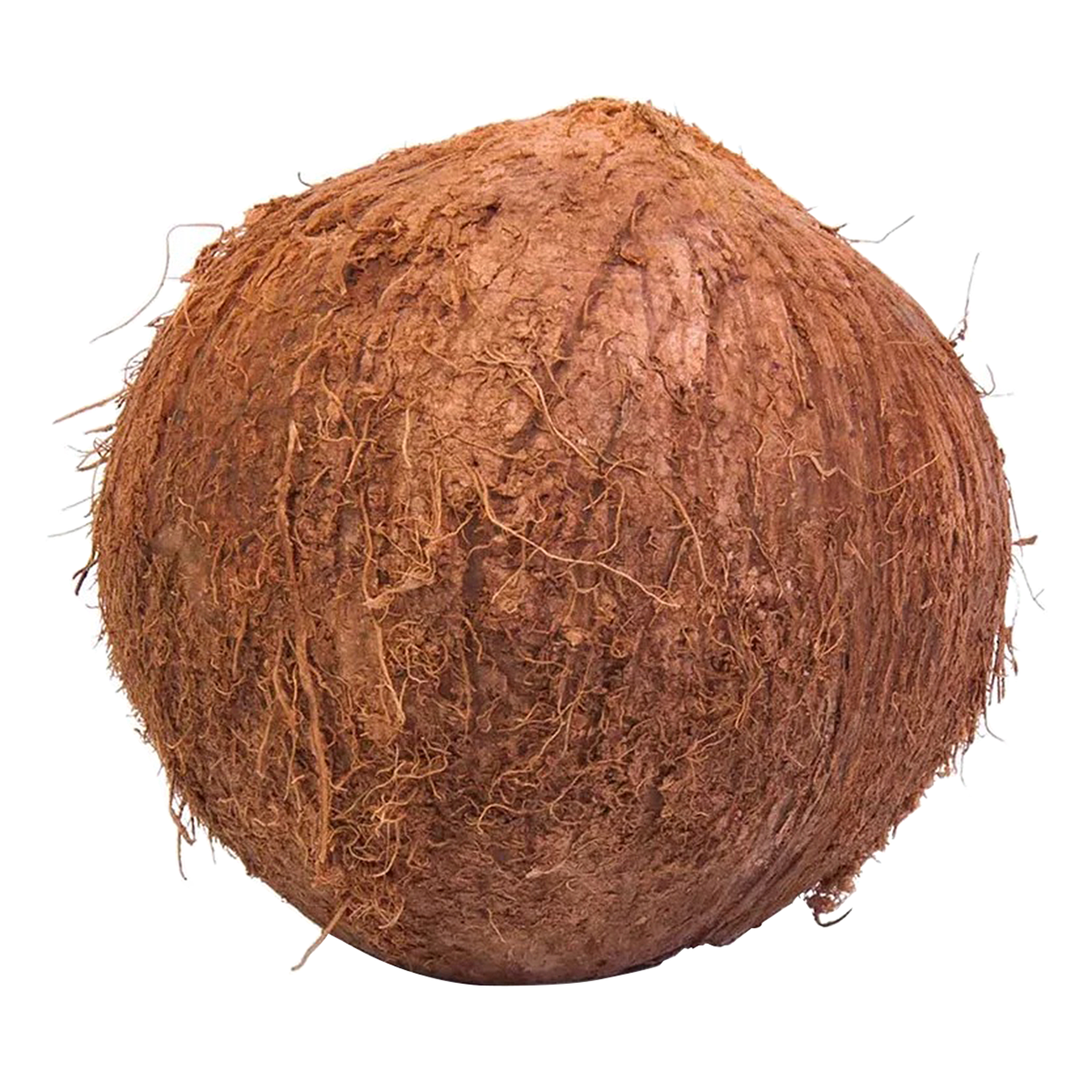 Coco Seco - 1 Unidade aprox. 580g