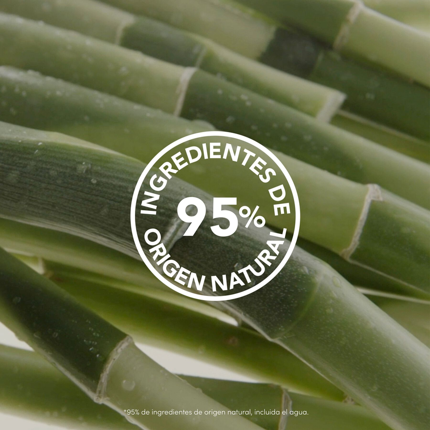 Shampoo For&ccedil;a + Bambu Dove Poder das Plantas Frasco 300ml