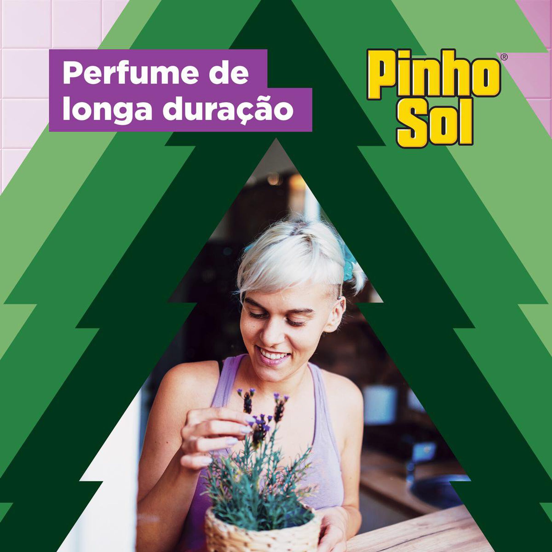 Desinfetante Uso Geral Lavanda Pinho Sol Frasco 500ml