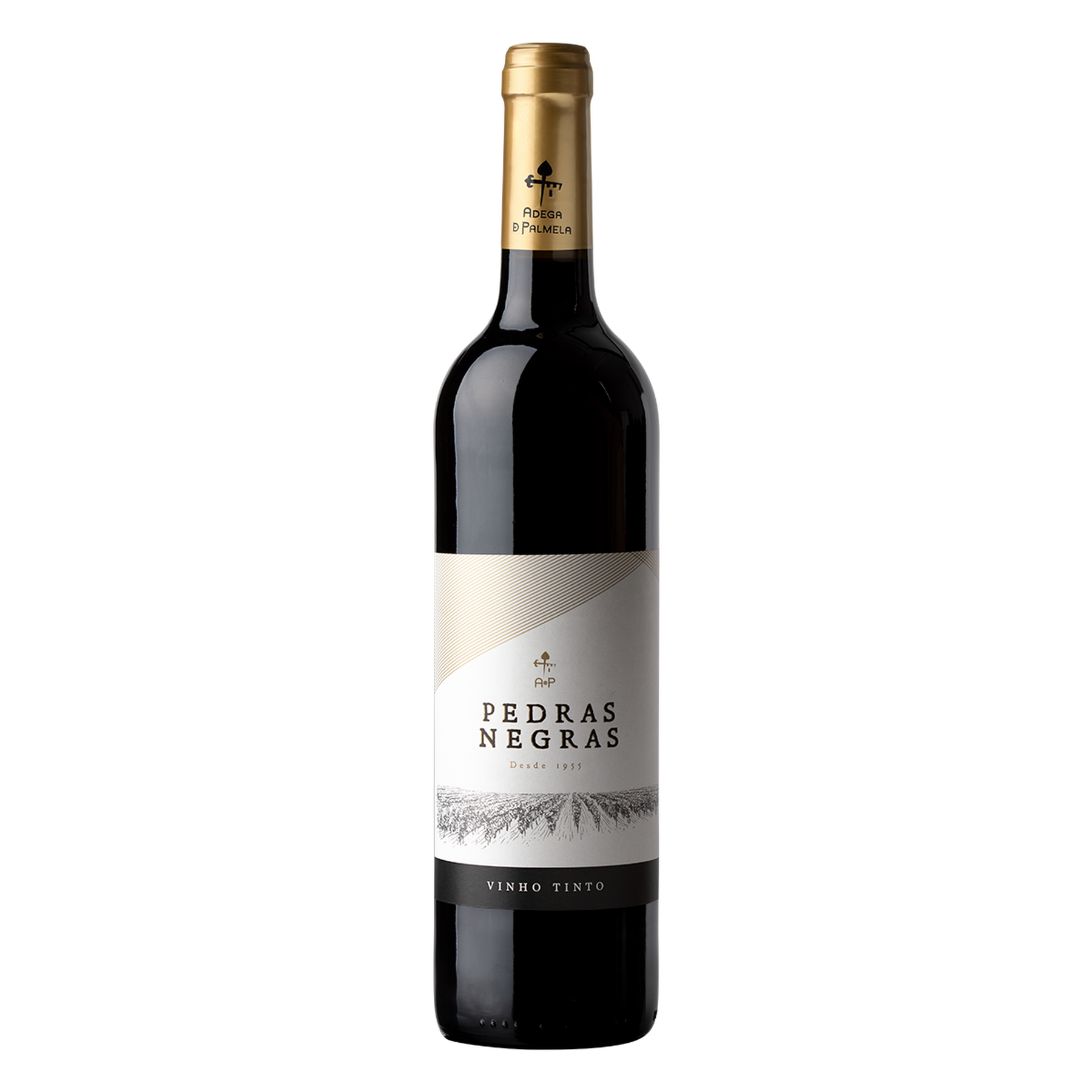 Vinho Tinto Pedras Negras Garrafa 750ml