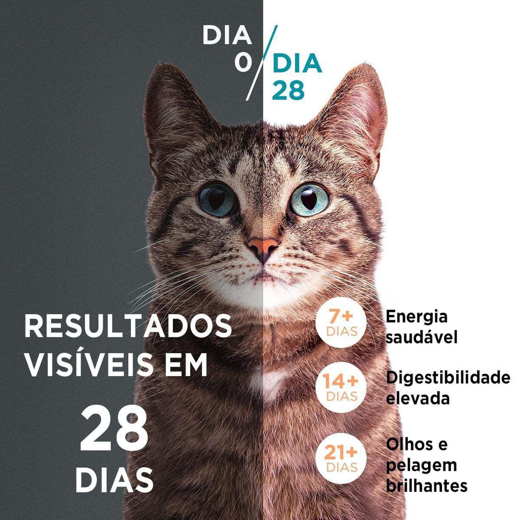 Alimento para Gatos Filhotes Frango e Carne Purina One Visible Nutrition Pacote 500g