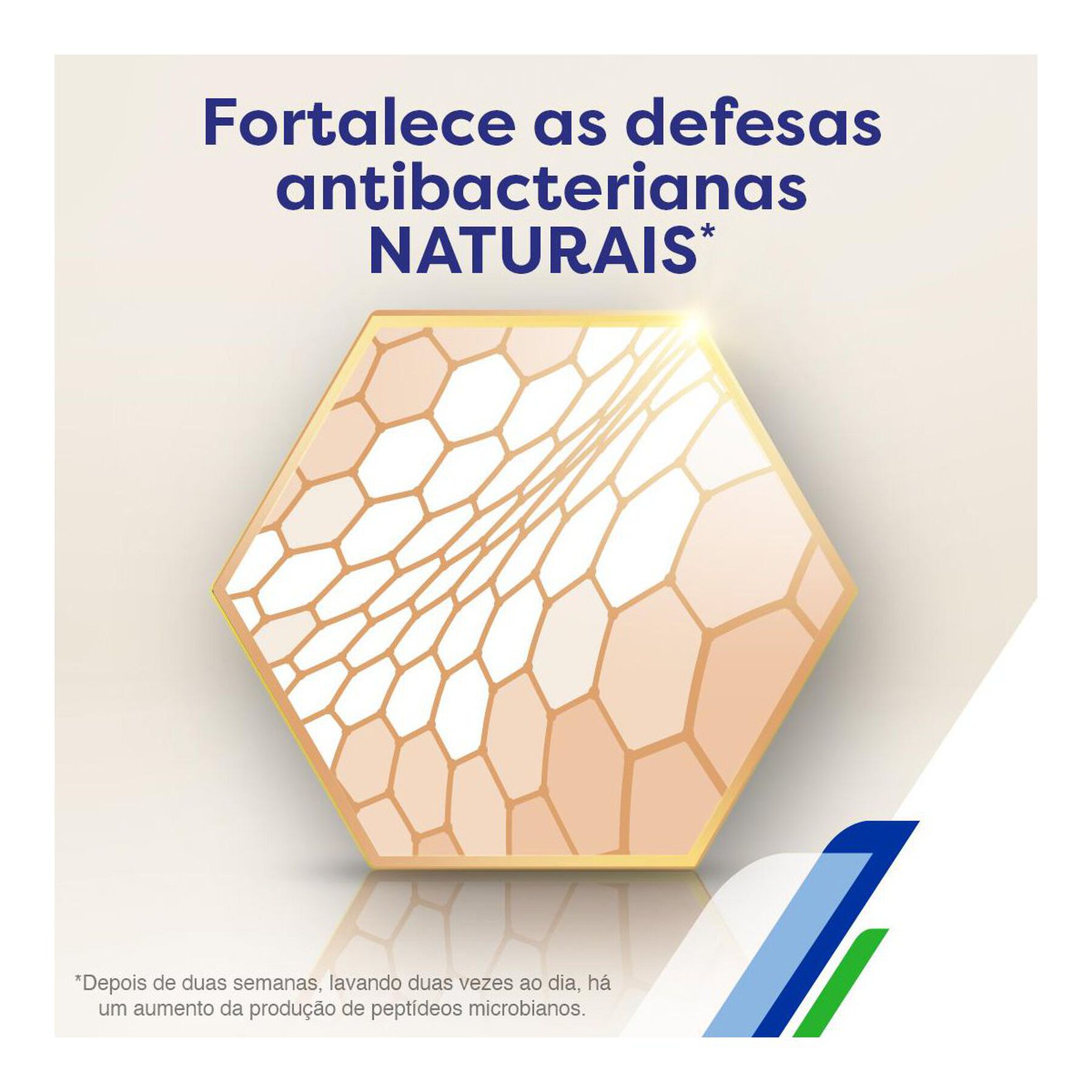 Sabonete em Barra Antibacteriano Nutri Protect Macadâmia Protex 6x85g - Embalagem Leve 6 Pague Menos
