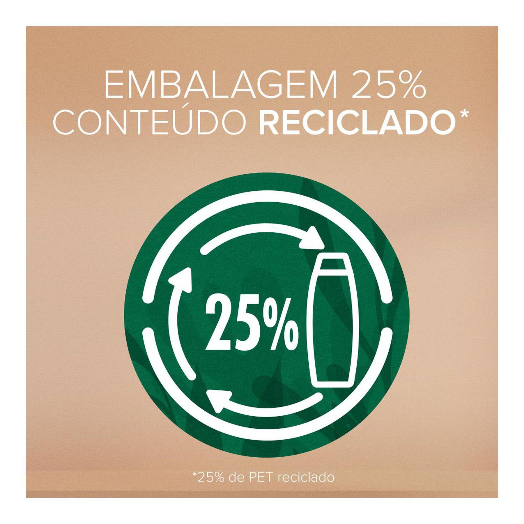 Shampoo Cuidado Anticaspa Palmolive Naturals Frasco 350ml