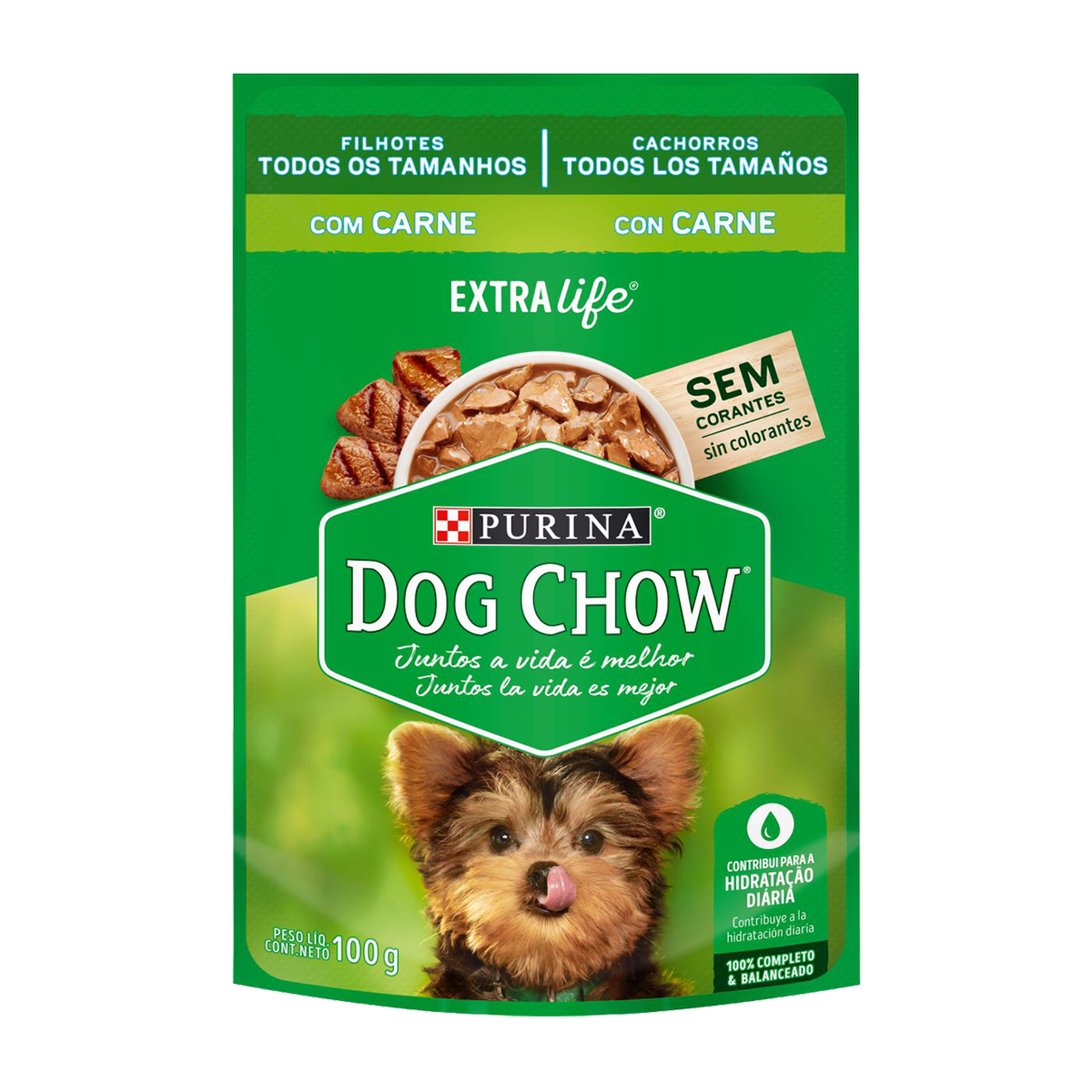 Ração Úmida Cães Filhotes Carne Dog Chow Sachê 100g