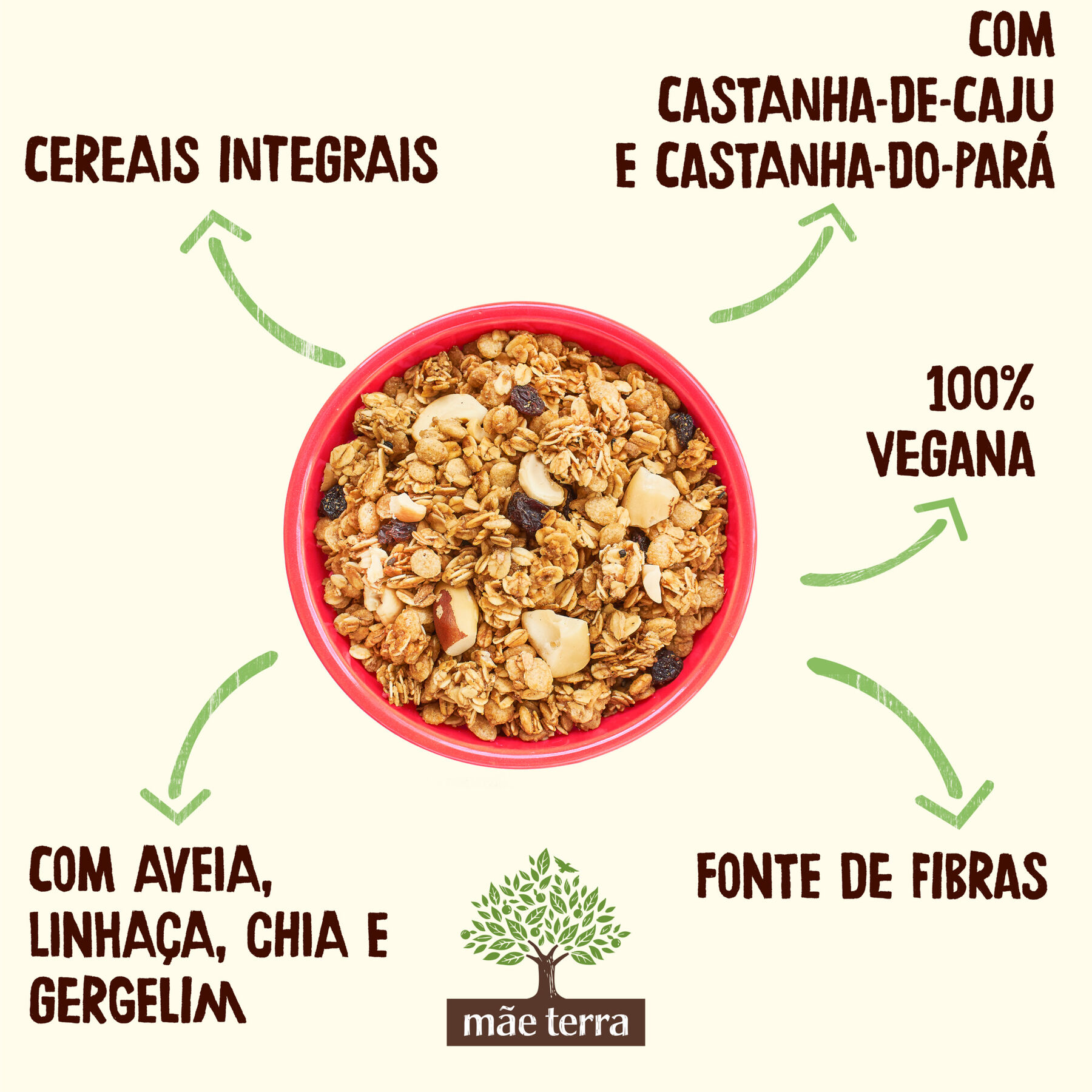 Granola Tradicional com Castanhas Brasileiras Mãe Terra Pacote 800g