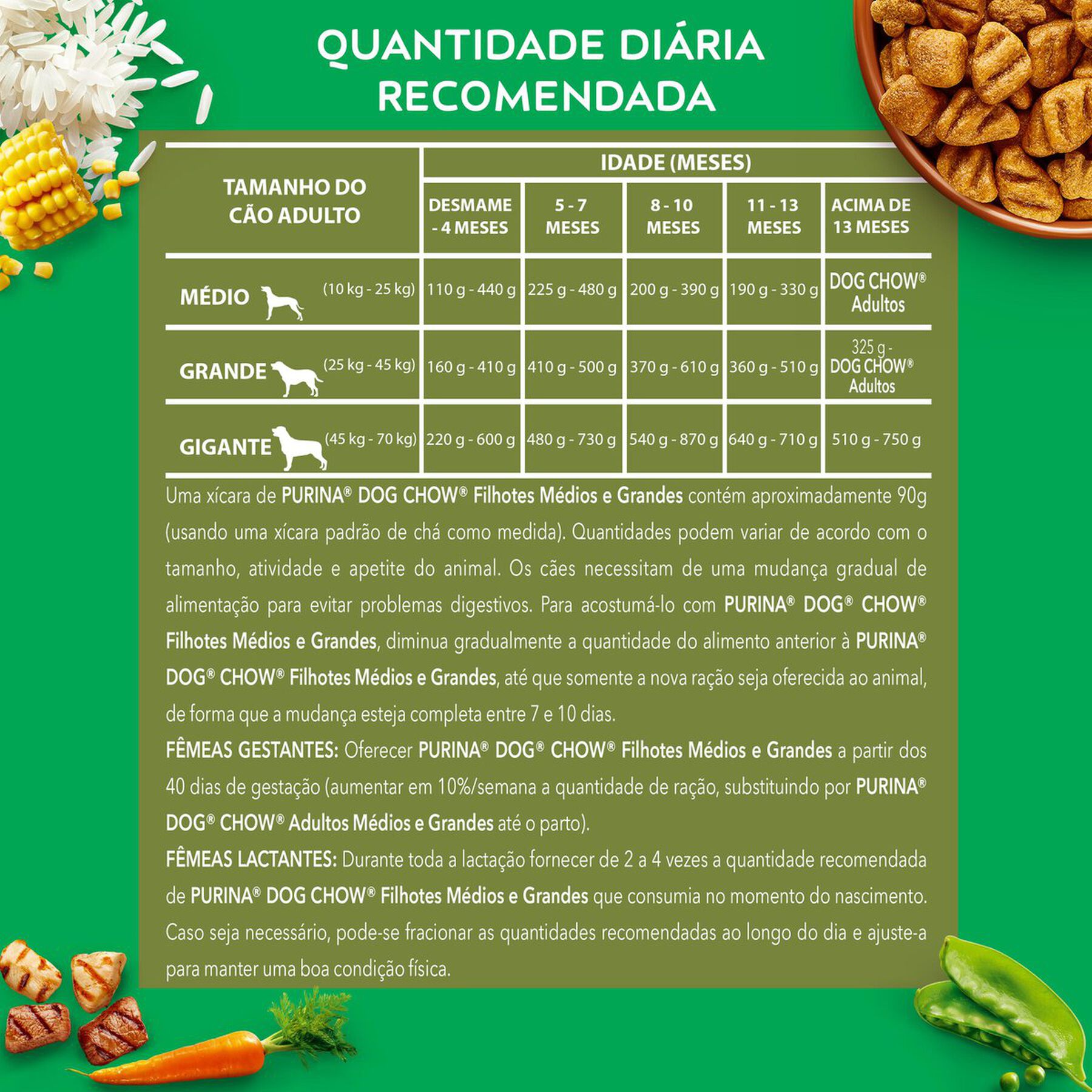 Alimento para C&atilde;es Filhotes Ra&ccedil;as M&eacute;dias e Grandes Carne, Frango e Arroz Purina Dog Chow Extra Life Pacote 1kg