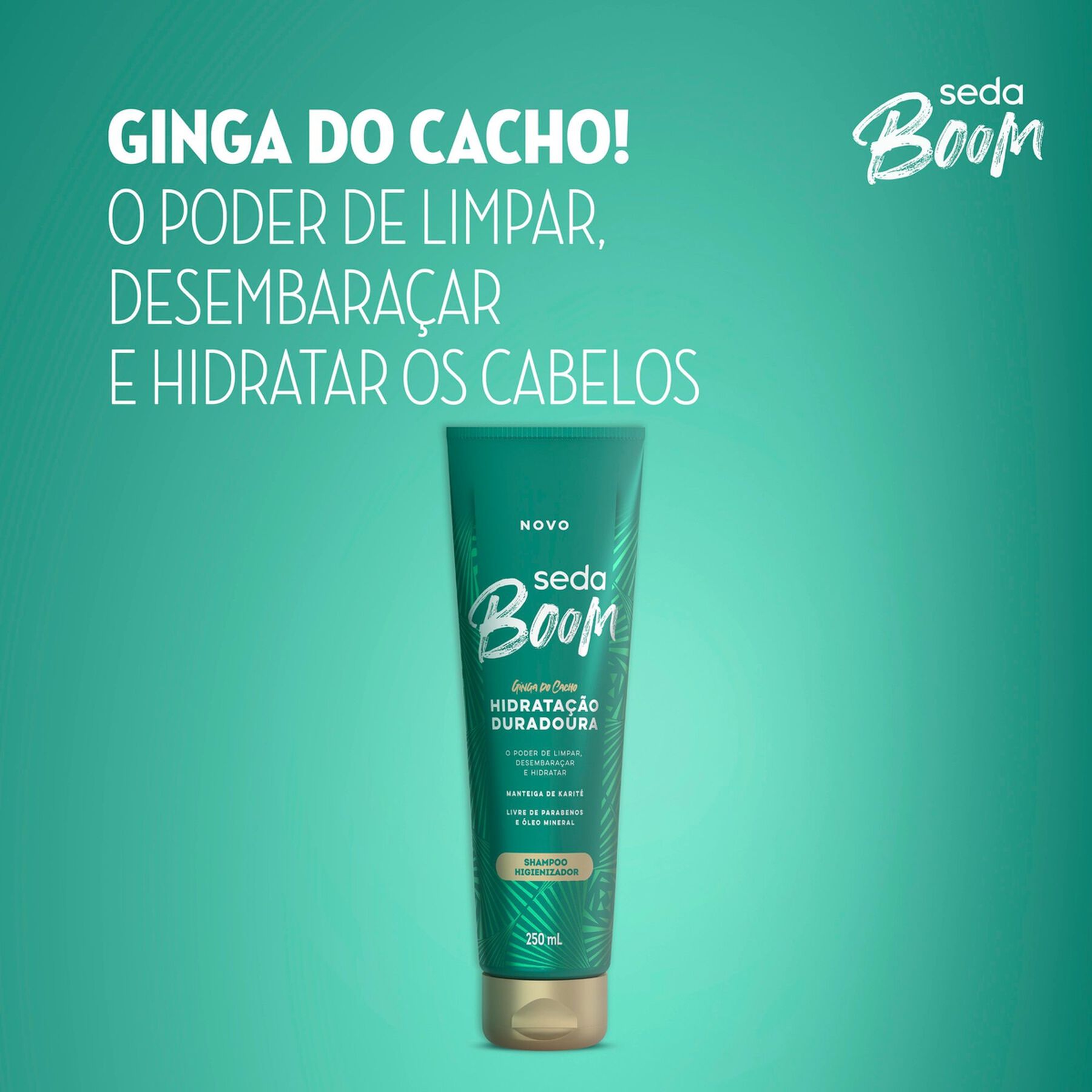 Shampoo Seda Boom Hidratação Duradoura 250ml