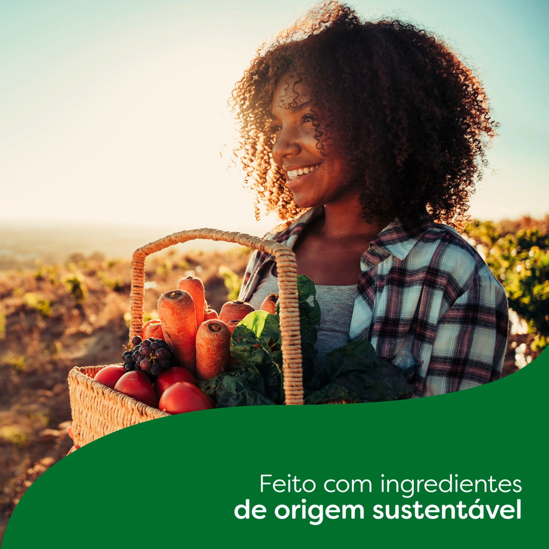 Tempero Alho e Cebola Knorr Meu Assado Pacote 25g