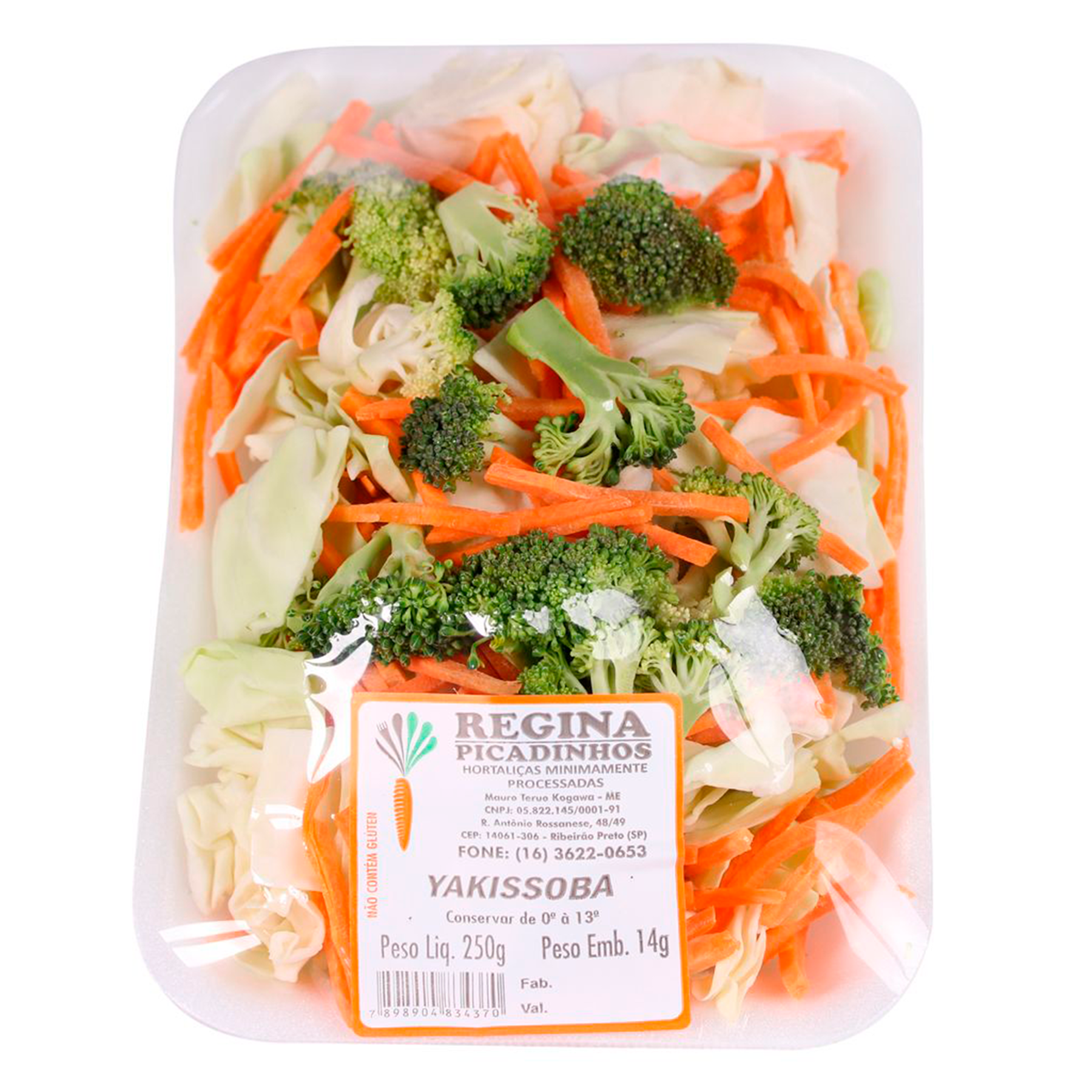 Yakissoba Regina Picadinhos 250g