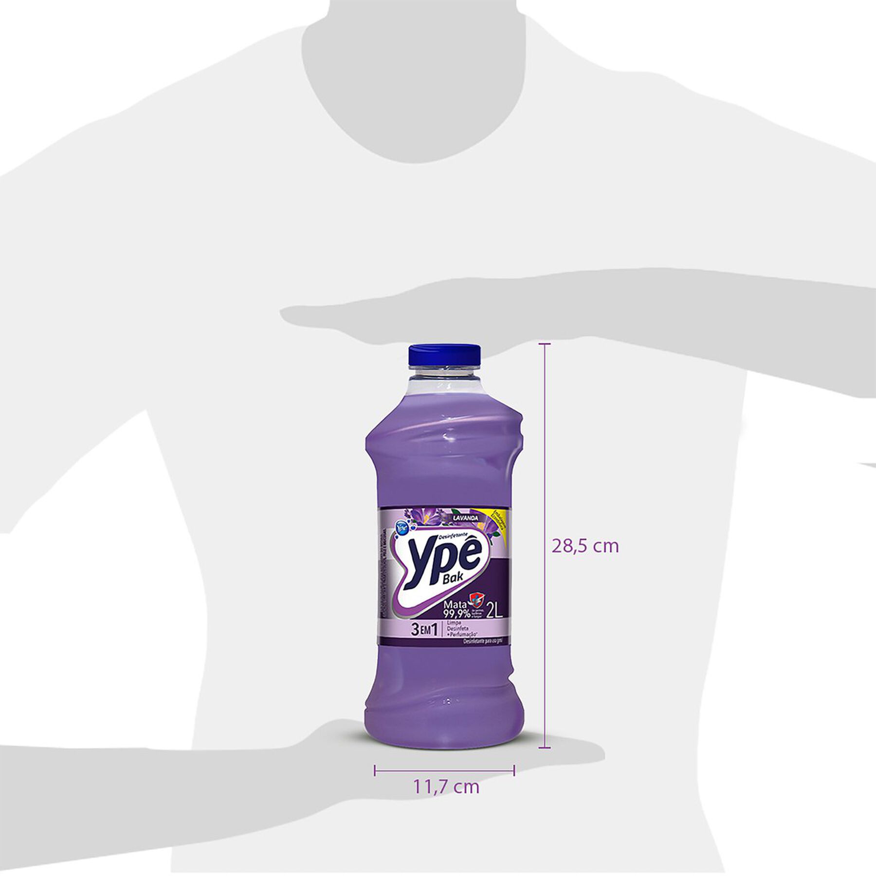 Desinfetante Uso Geral Lavanda Ypê Bak Frasco 2l