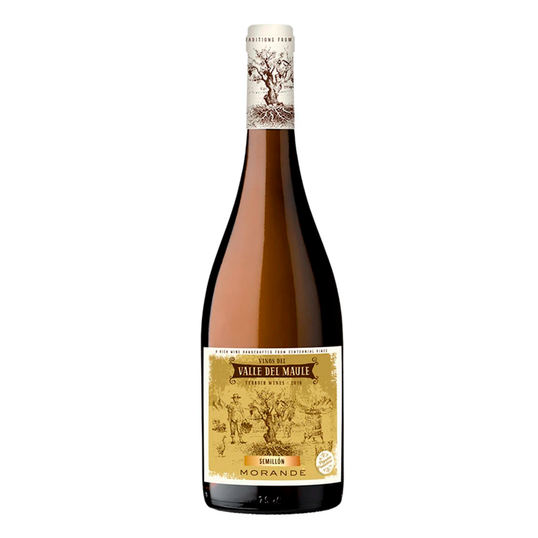 Vinho Tinto Semill&oacute;n Morand&eacute; Garrafa 750ml