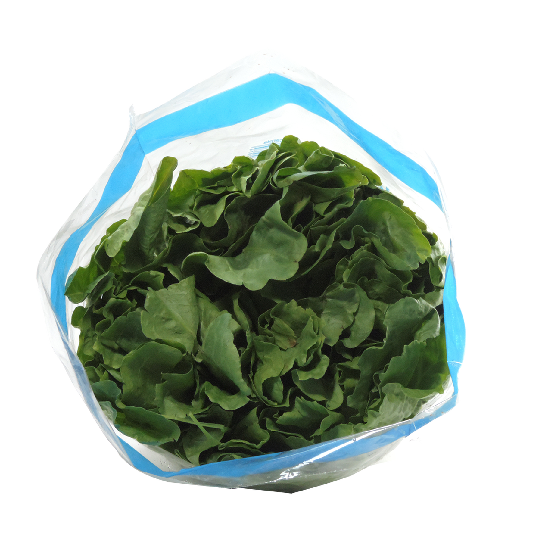 Chic&oacute;ria Picada Vale Verde 150g