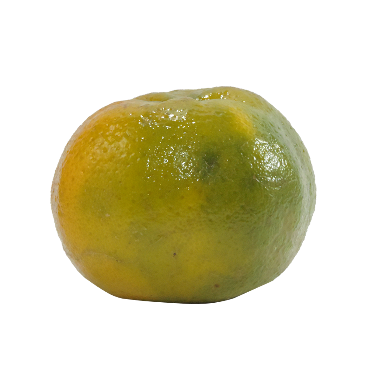 Mexerica Ponkan - 1 Unidade aprox. 210g