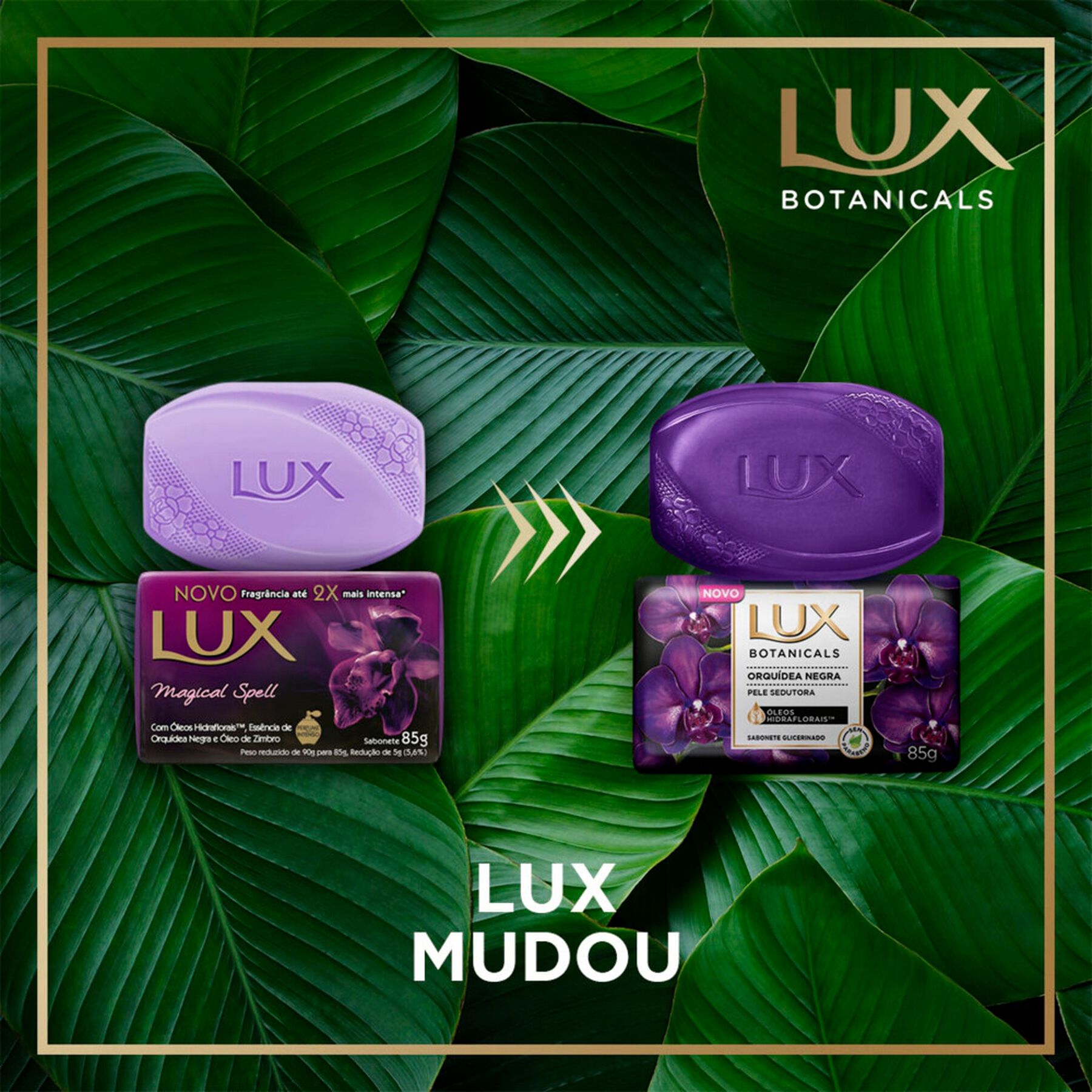 Sabonete em Barra Glicerinado Orquídea Negra Lux Botanicals Cartucho 85g