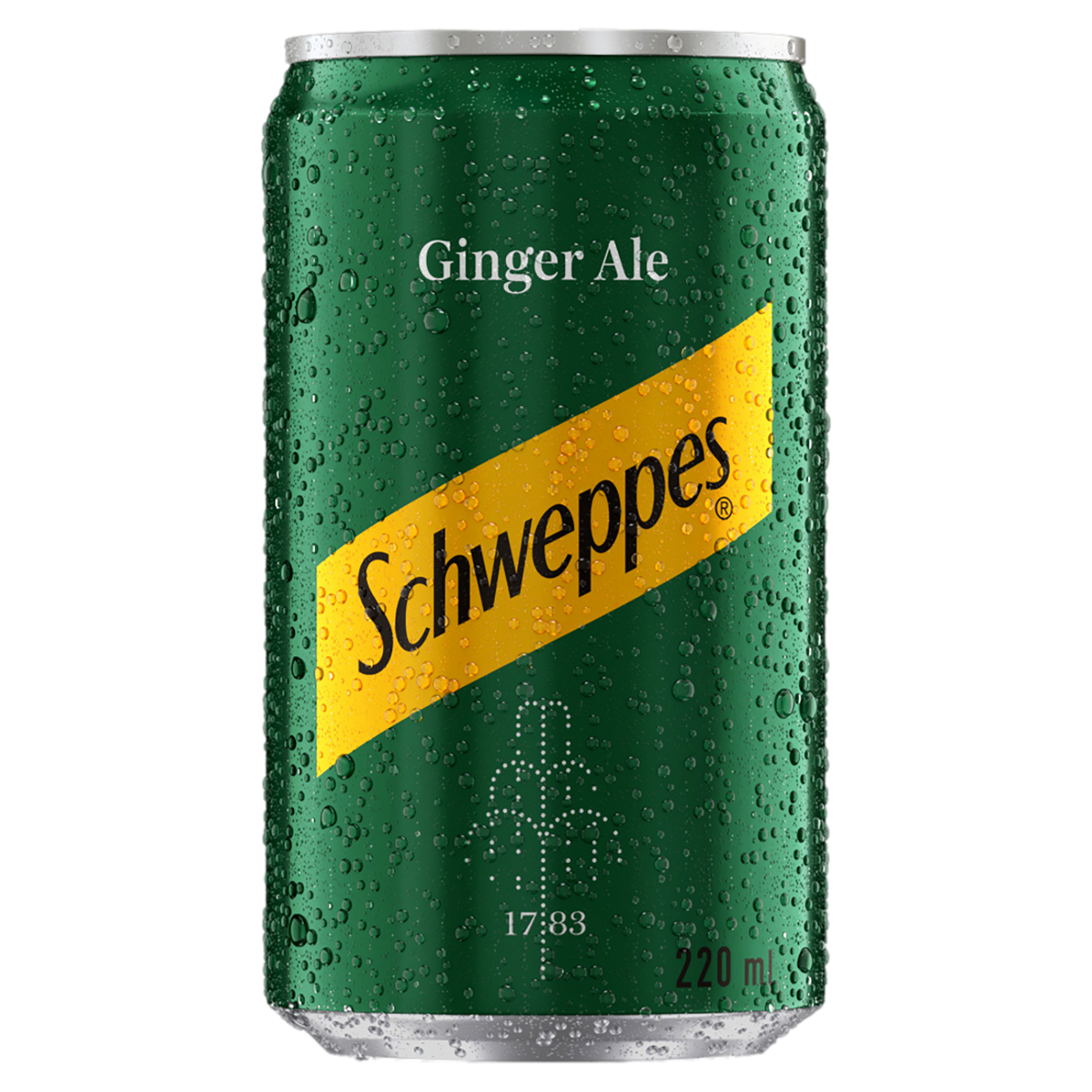 Refrigerante Ginger Ale Schweppes Lata 220ml