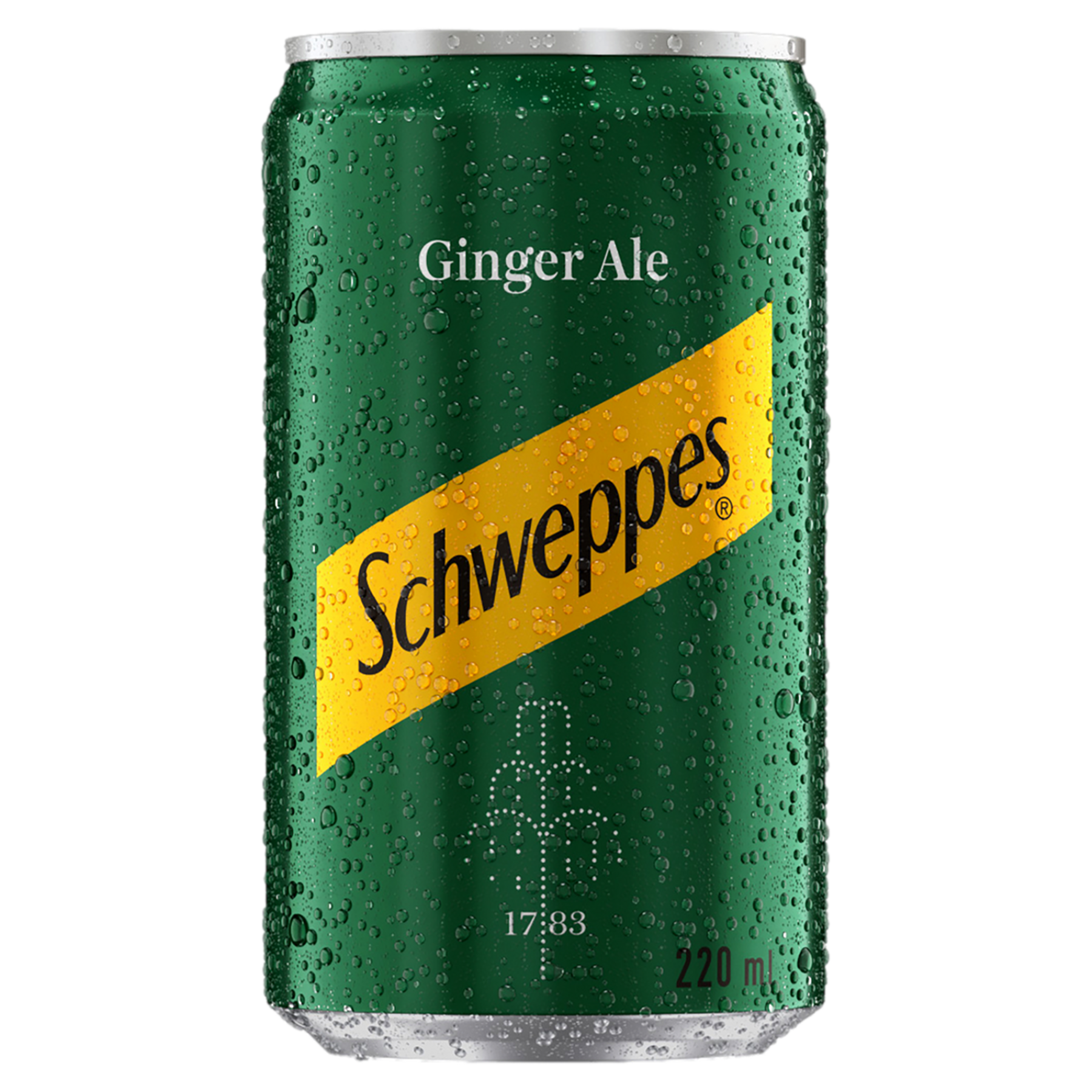 Refrigerante Ginger Ale Schweppes Lata 220ml