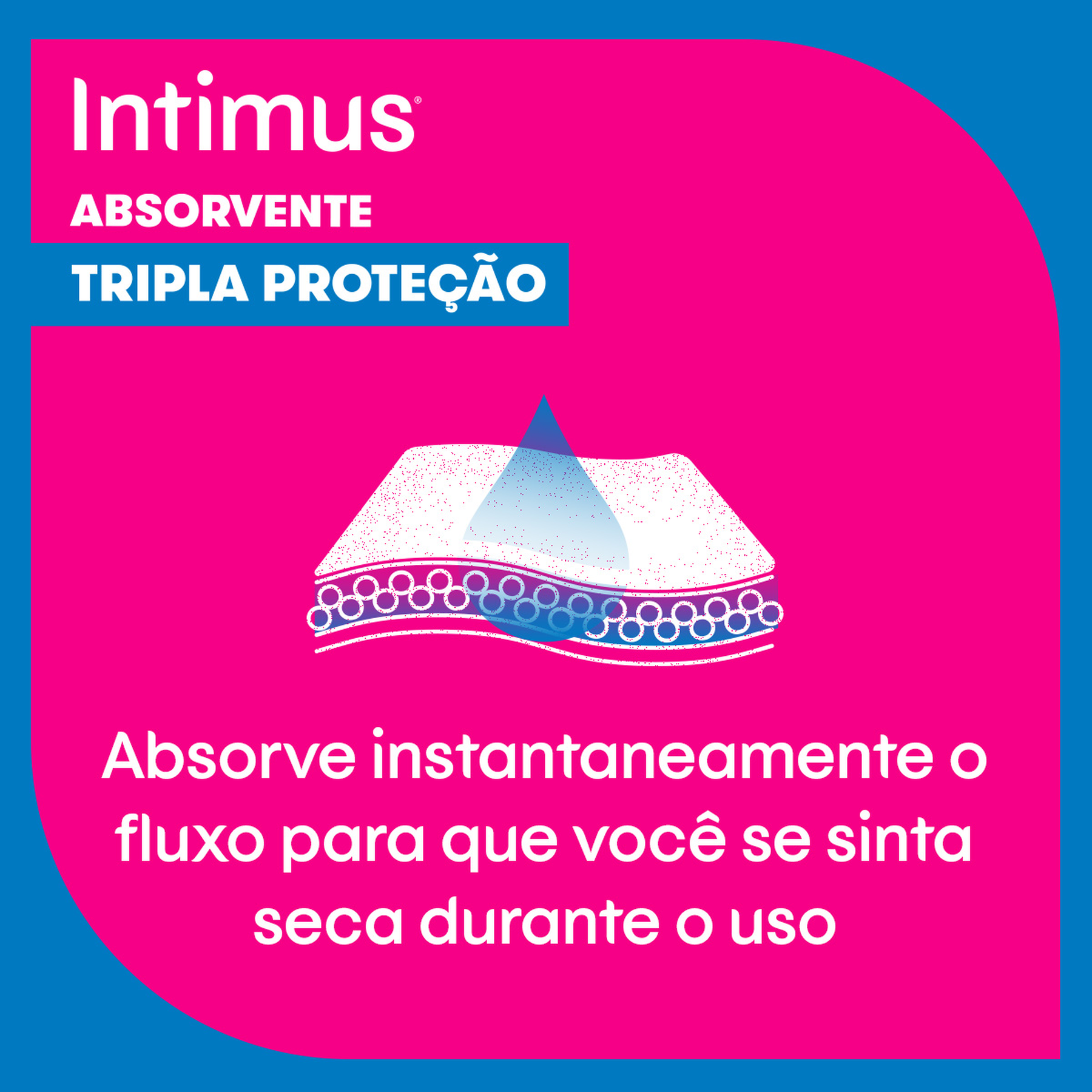 Absorvente com Abas Seca Intimus Tripla Proteção Pacote 32 Unidades Leve Mais Pague Menos