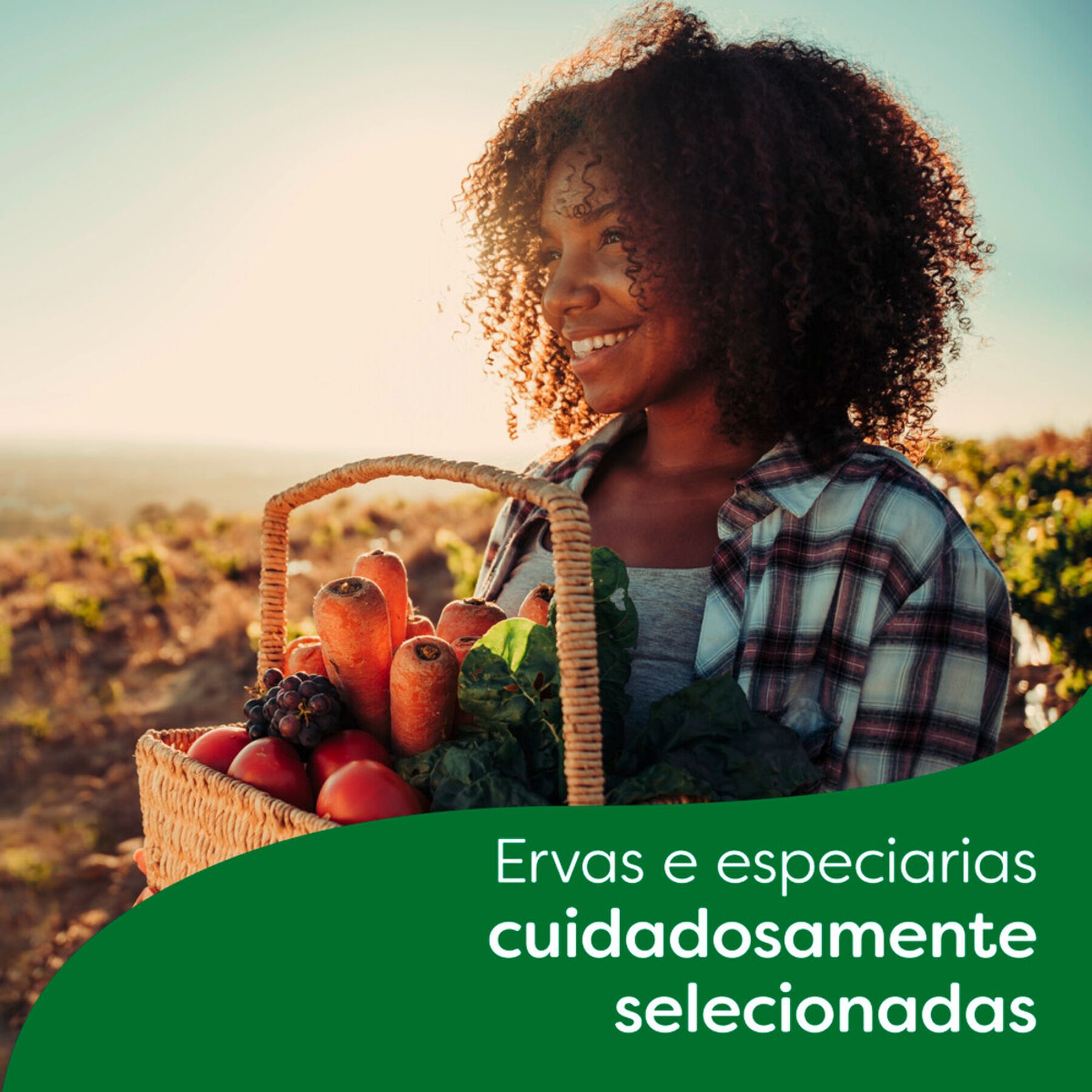 Caldo em Tablete Carne Knorr Caixa 57g 6 Unidades