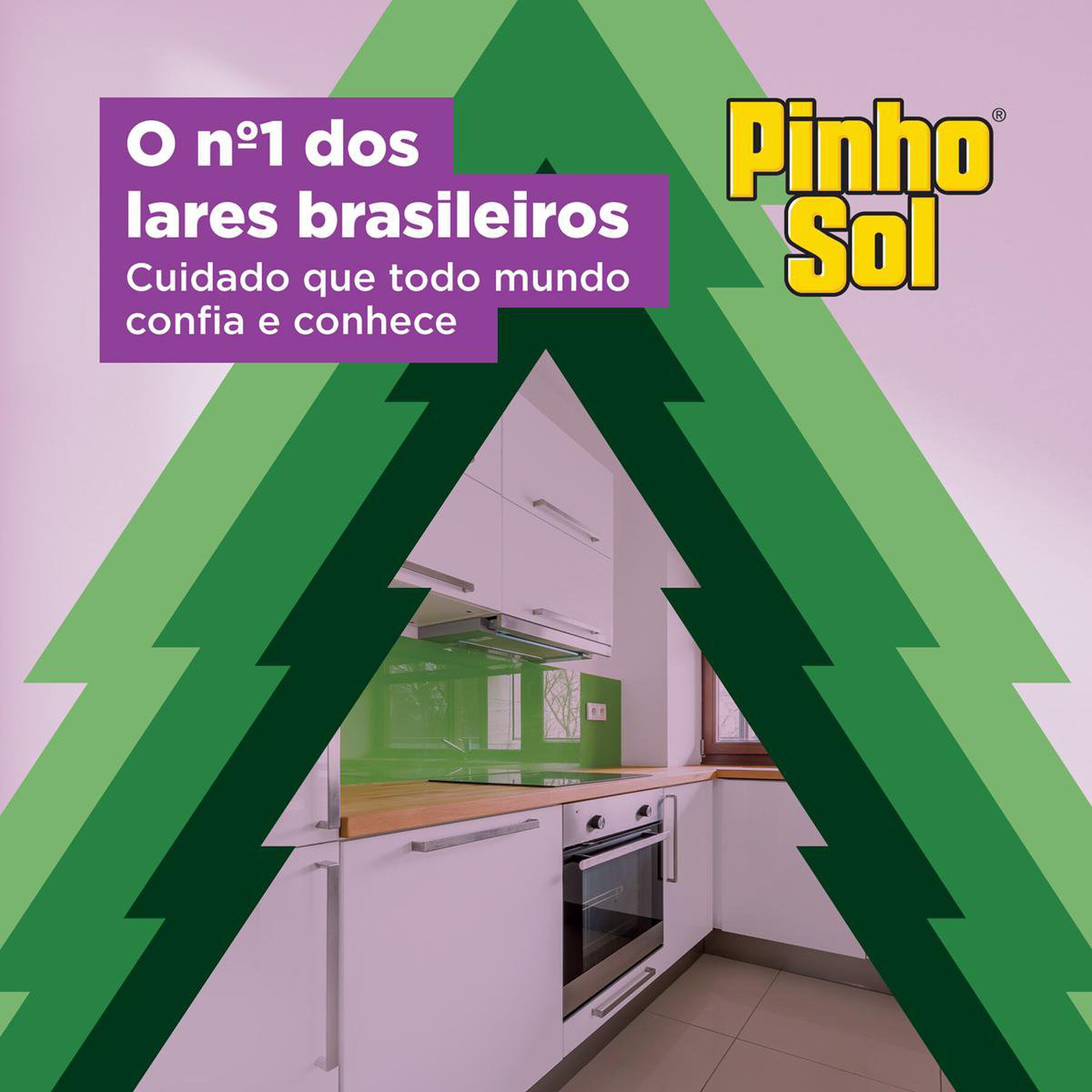 Desinfetante Uso Geral Lavanda Pinho Sol Frasco 1l