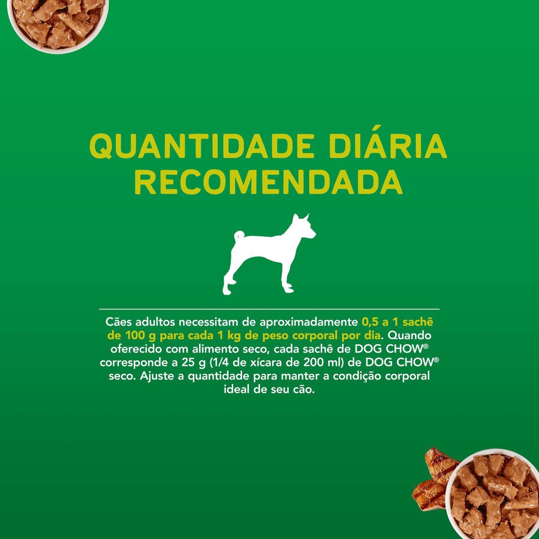Ração Úmida Cães Carne Dog Chow Sachê 100g