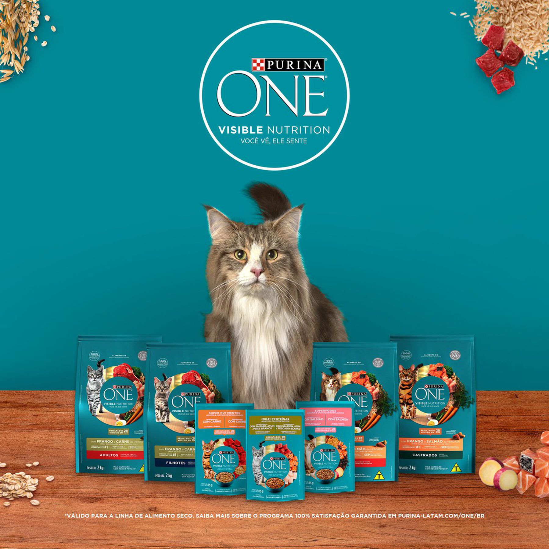 Alimento para Gatos Adultos Castrados Salmão Purina One Superfoods Sachê 85g
