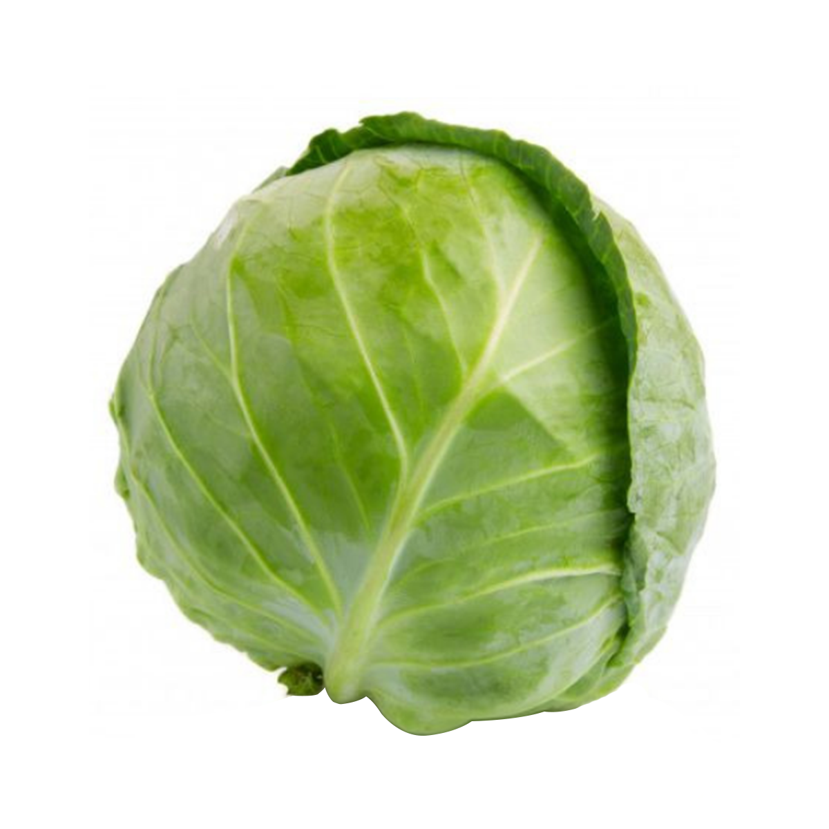 Repolho Verde aprox. 1.900g