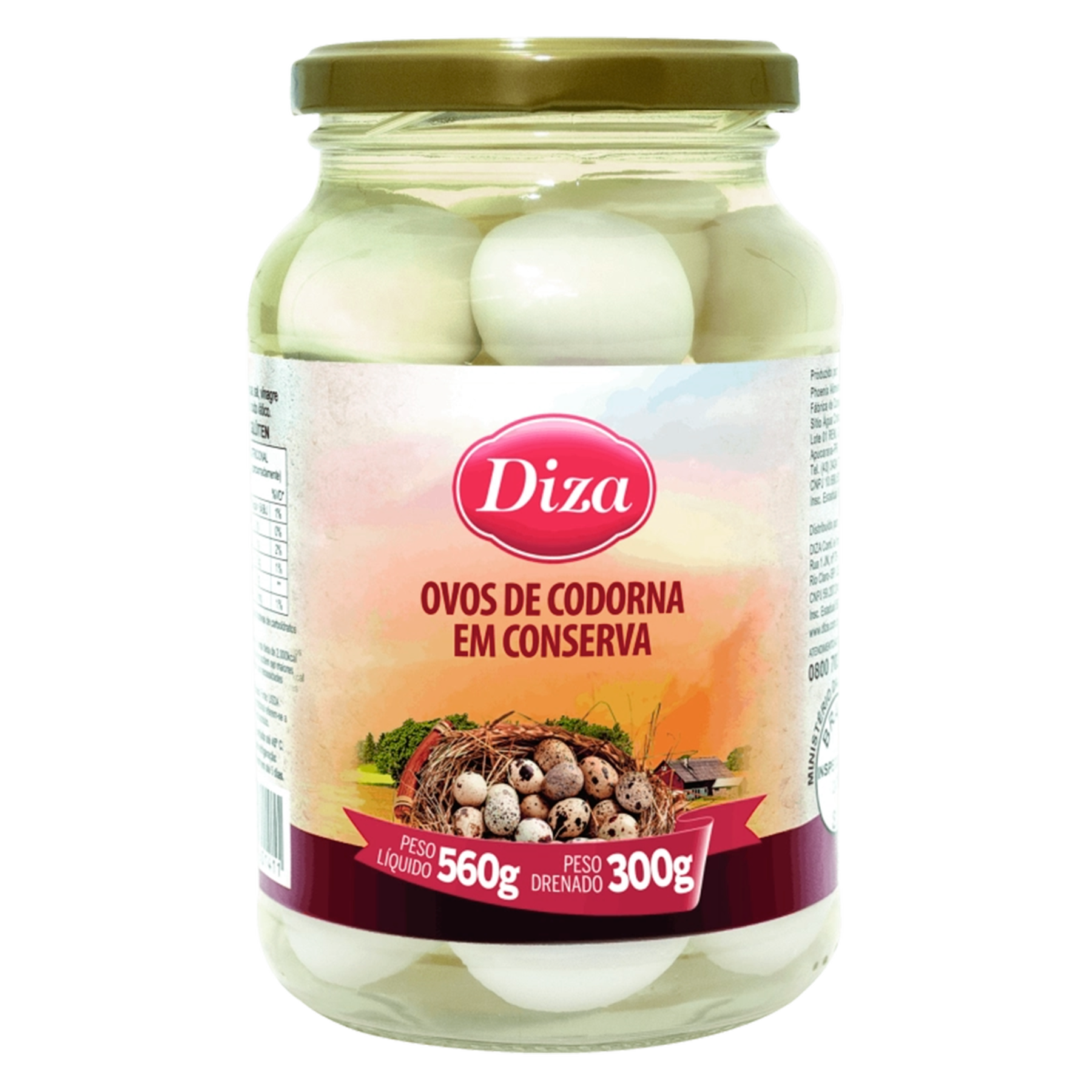 Ovo de Codorna em Conserva Diza Vidro 300g