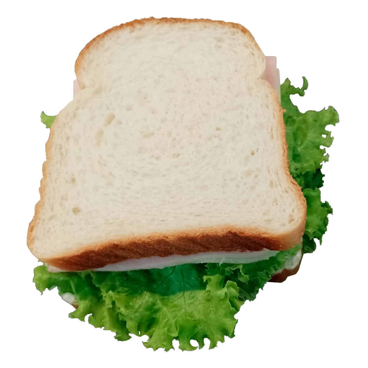 Sandu&iacute;che Americano aprox. 200g