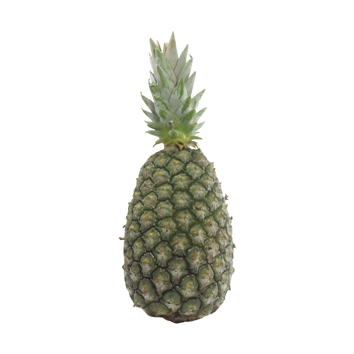 Abacaxi Branco Perola Unidade