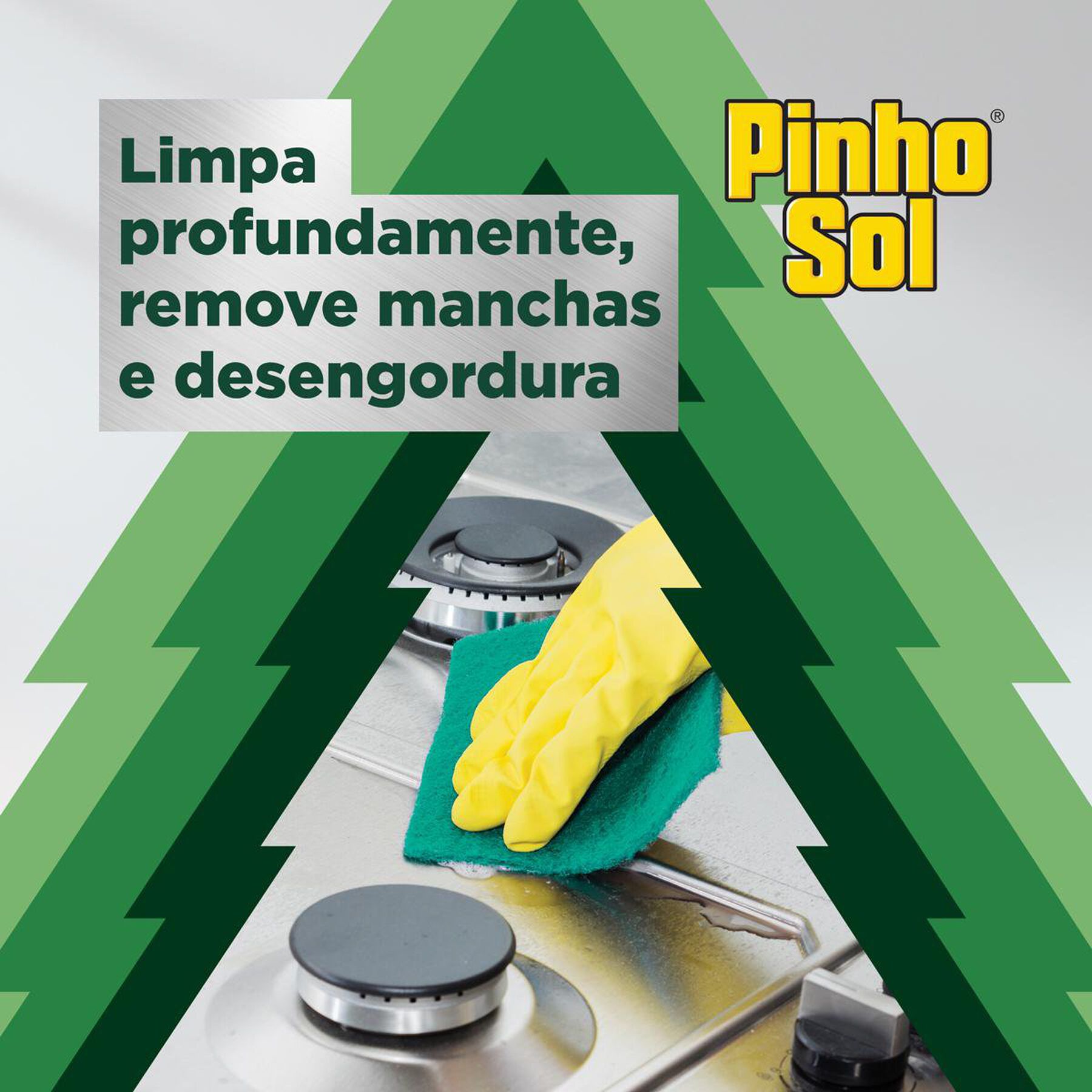 Limpador Limpeza Pesada Eucalipto Pinho Sol Frasco 1l