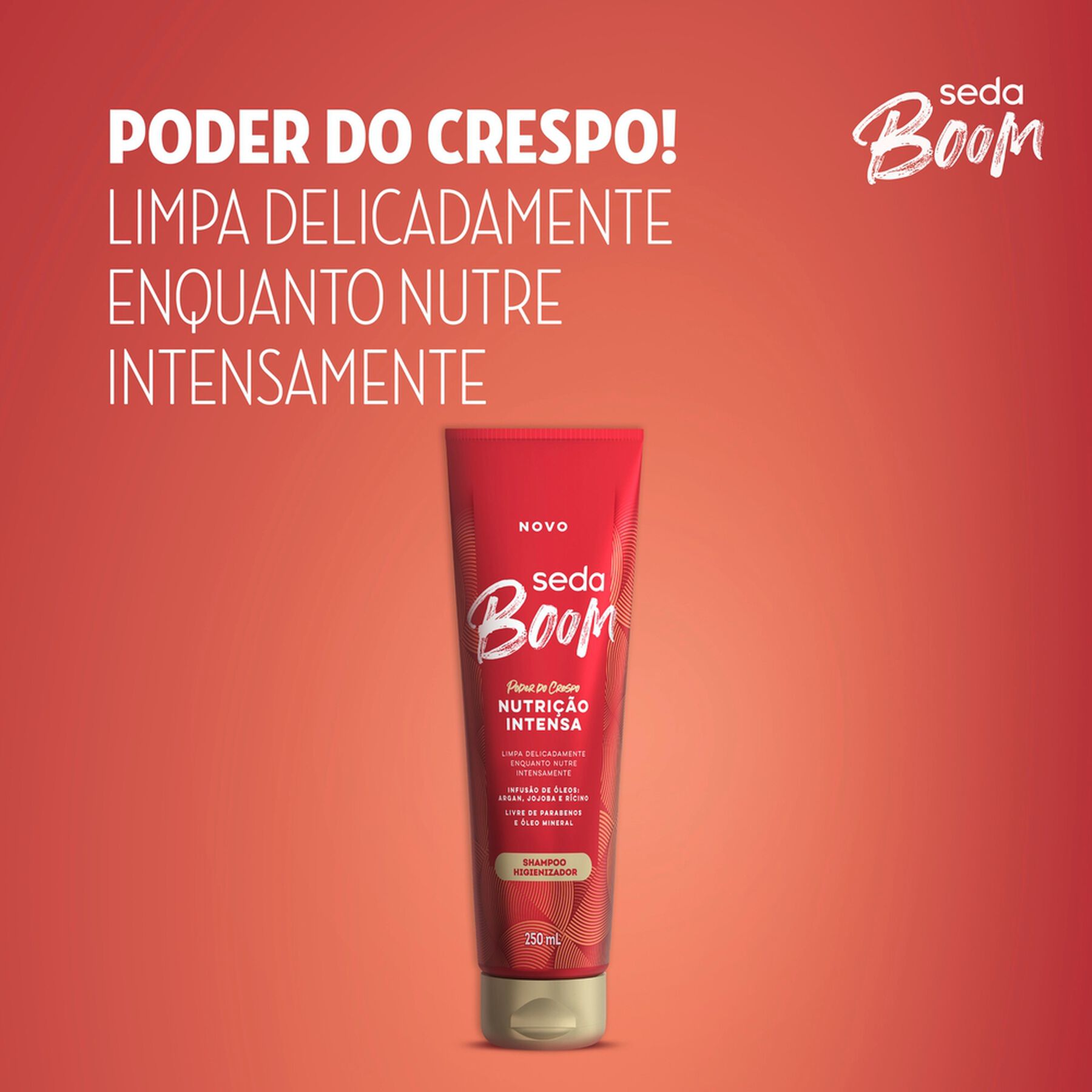 Shampoo Higienizador Nutrição Intensa Seda Boom Bisnaga 250ml