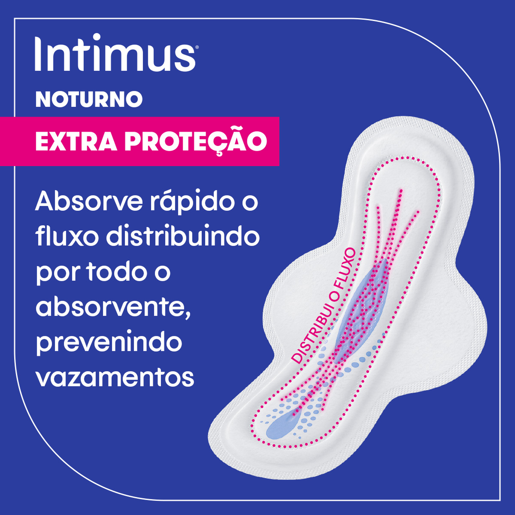 Absorvente com Abas Seca Noturno Intimus Pacote 30 Unidades Leve Mais Pague Menos