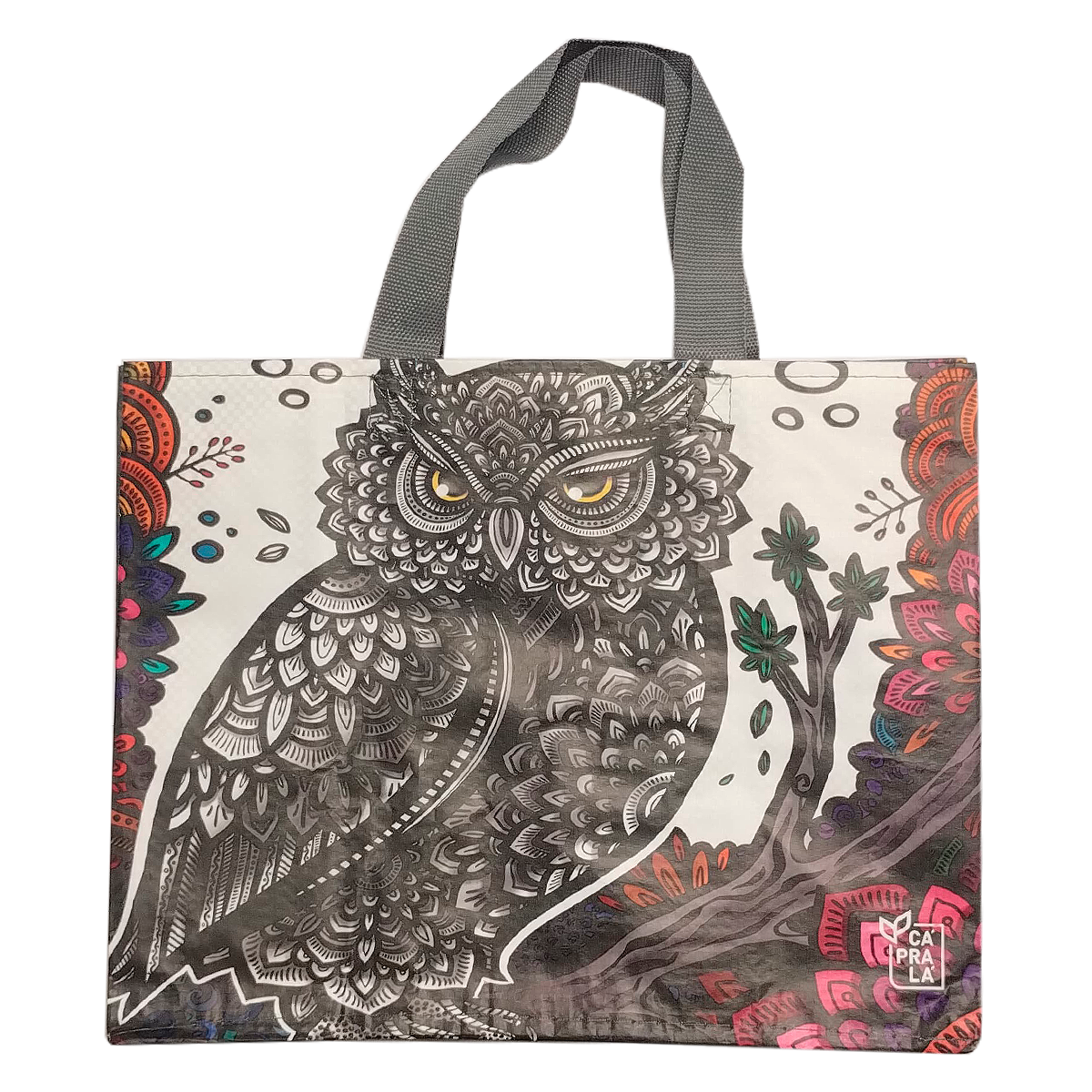 Sacola Retorn&aacute;vel C&aacute;PraL&aacute; 300x240x160mm